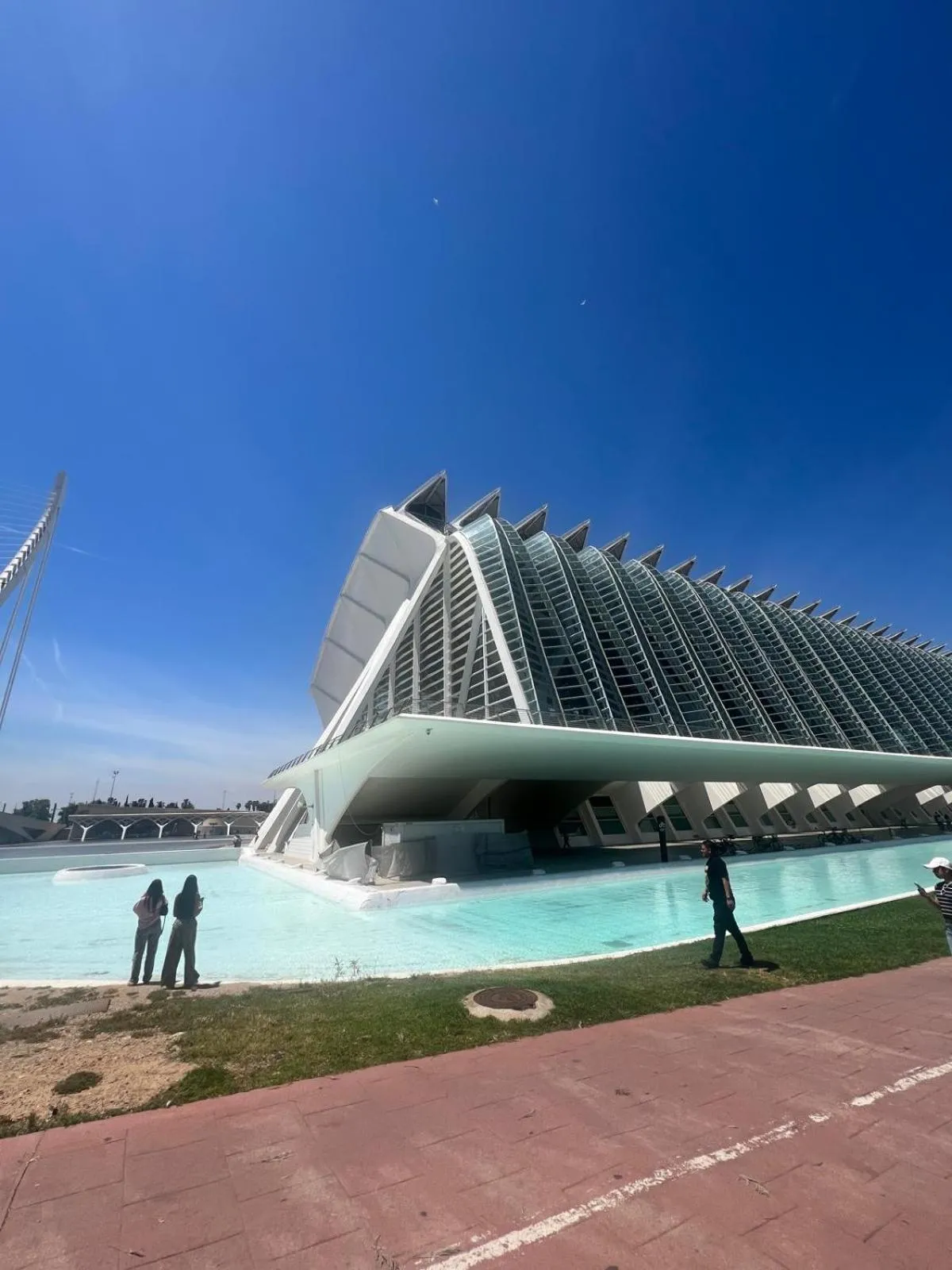 Day in Beach & Arts Hostel Valencia