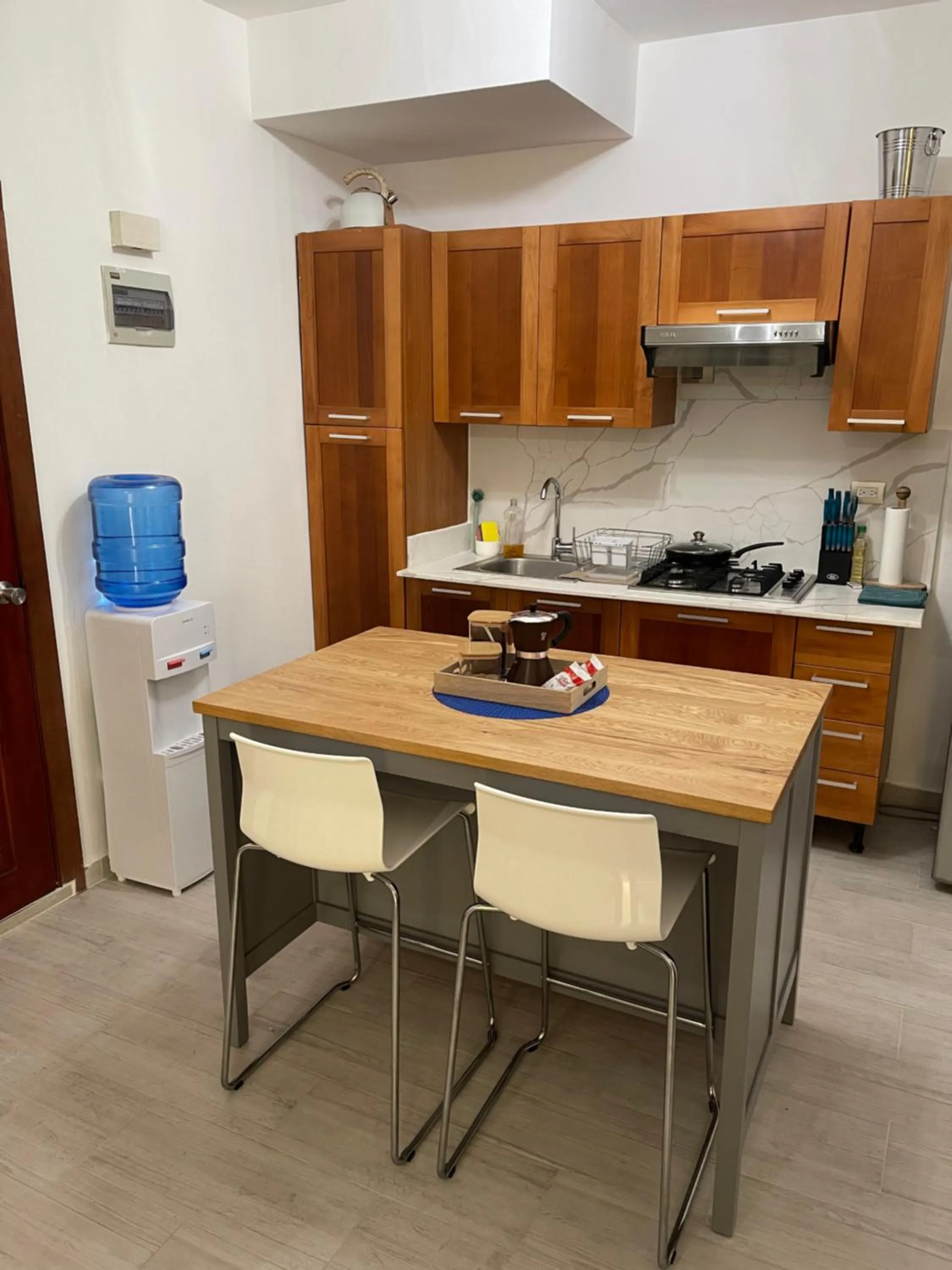 Kitchen or kitchenette in Las Terrenas beachfront 2 bedrooms condo with pool