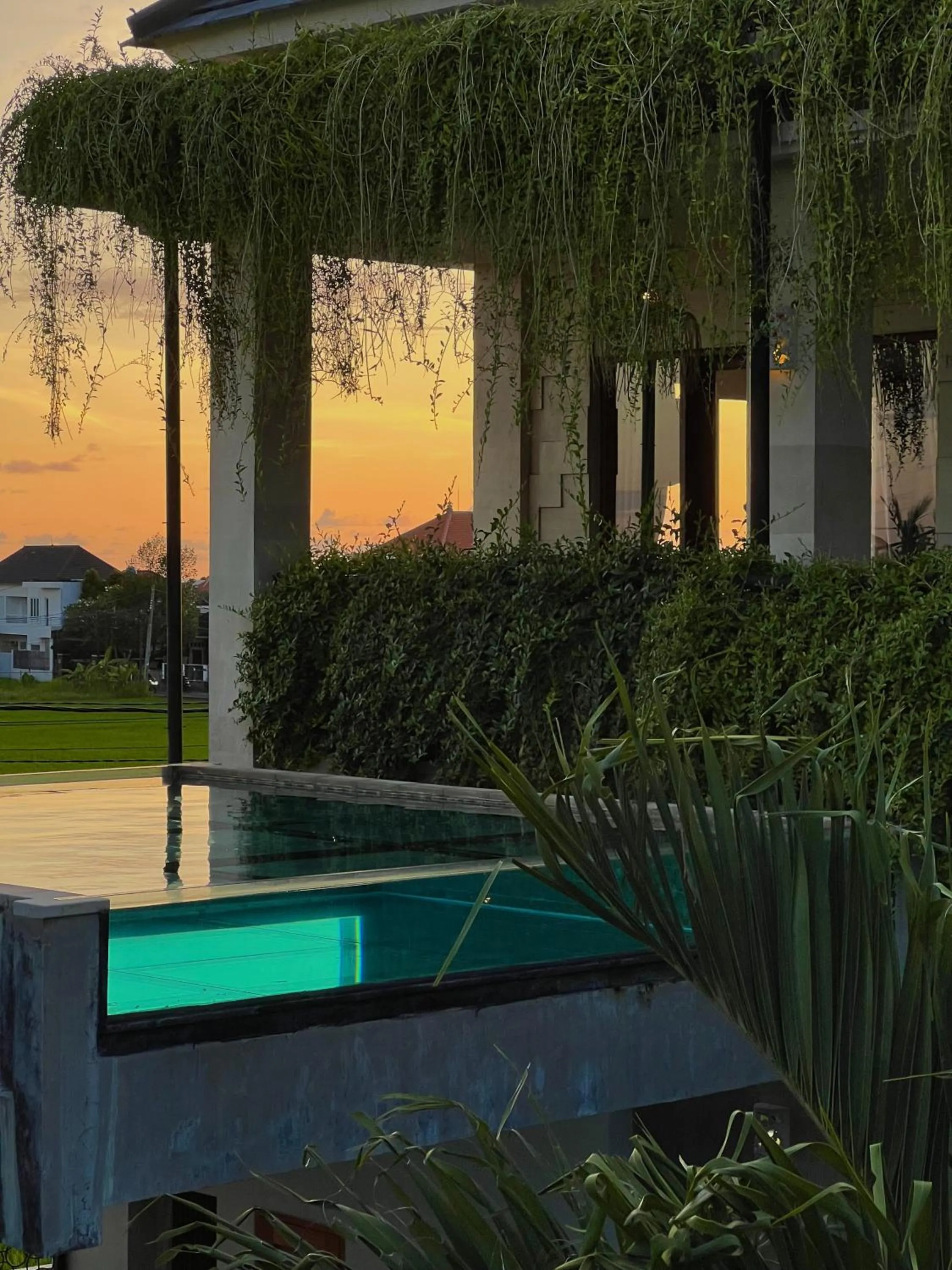 Swimming pool in Canggu Hype