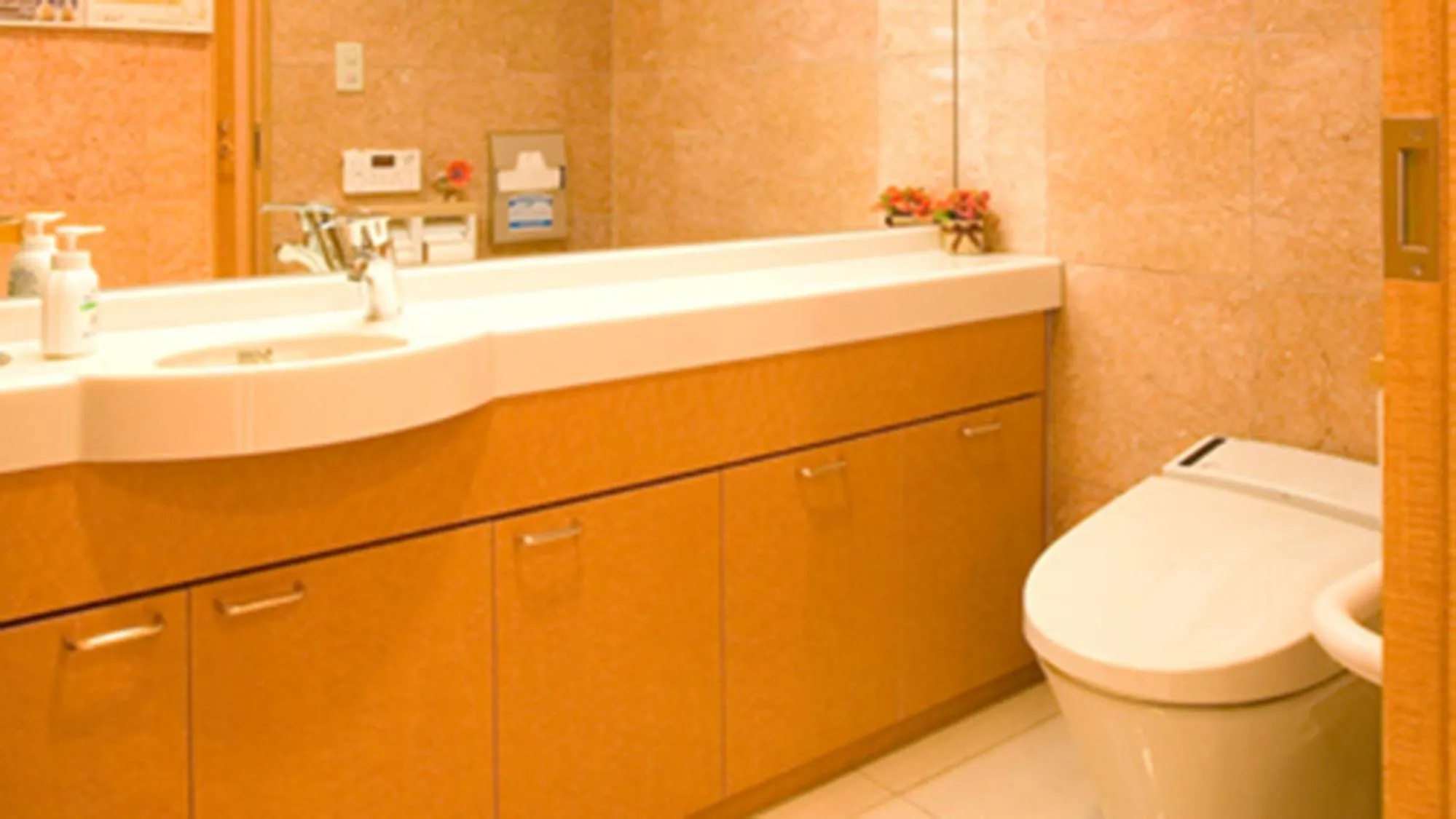 Toilet in Toyoko Inn Yonago Ekimae