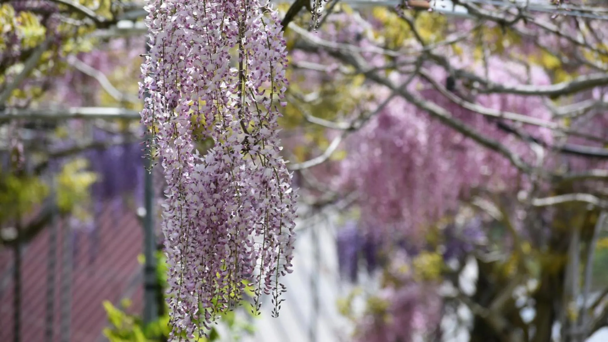 Nearby landmark in Toyoko Inn Higashi hiroshima Ekimae