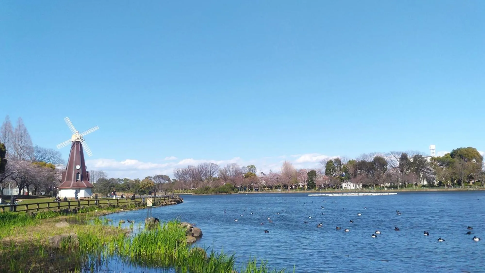 Nearby landmark in Toyoko Inn Saitama Toda koen eki Nishi guchi