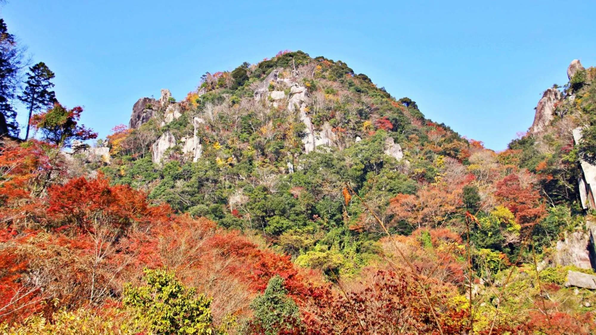 Nearby landmark in Toyoko Inn Oita Nakatsu Ekimae
