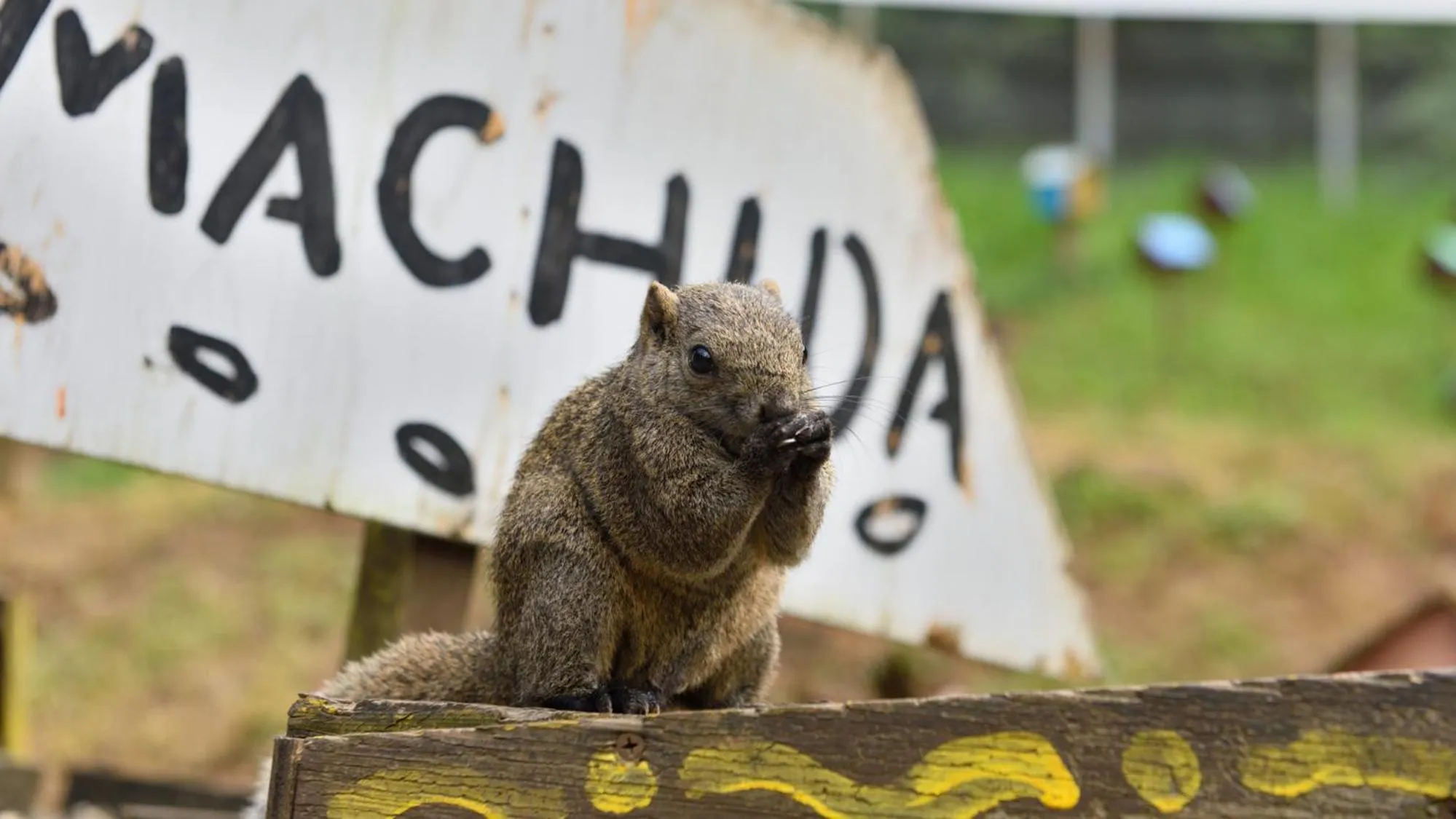 Nearby landmark in Toyoko Inn Tokyo Machida eki Odakyu sen Higashi guchi