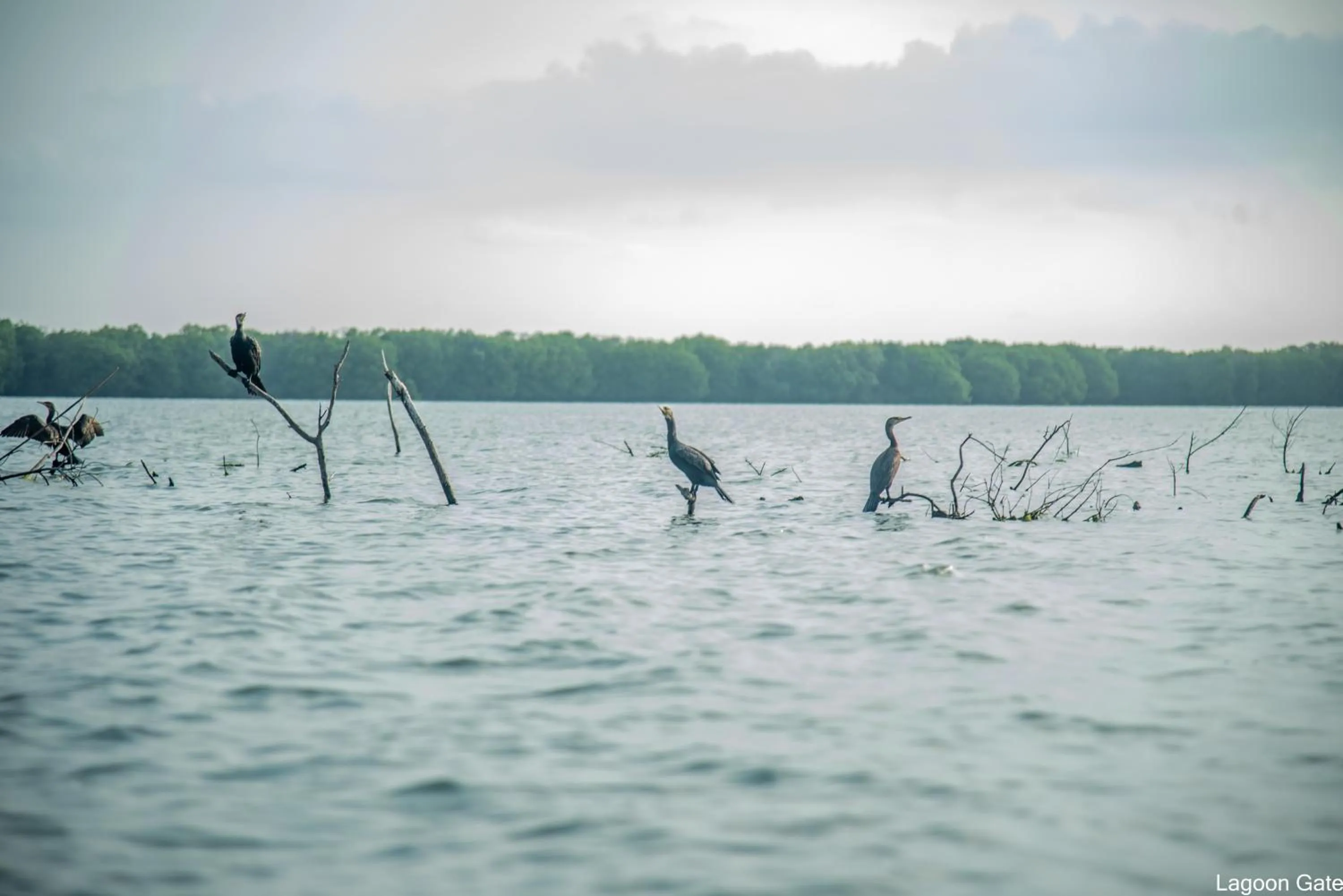 Lake view in Lagoon gate Tangalle Resort