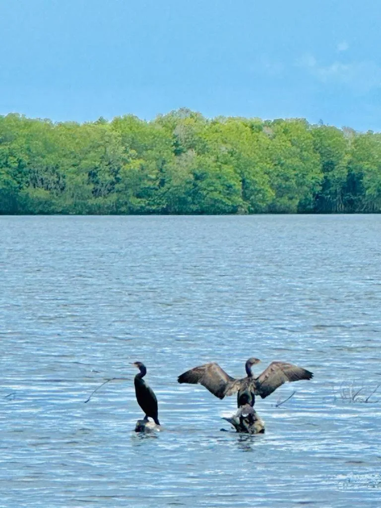 Lake view in Lagoon gate Tangalle Resort