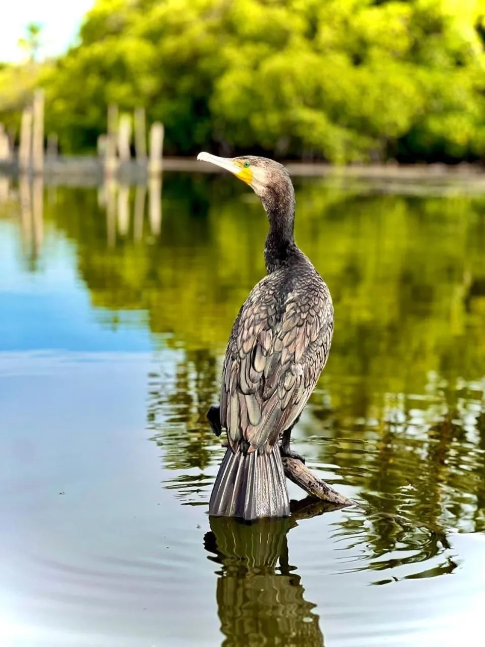 Natural landscape in Lagoon gate Tangalle Resort