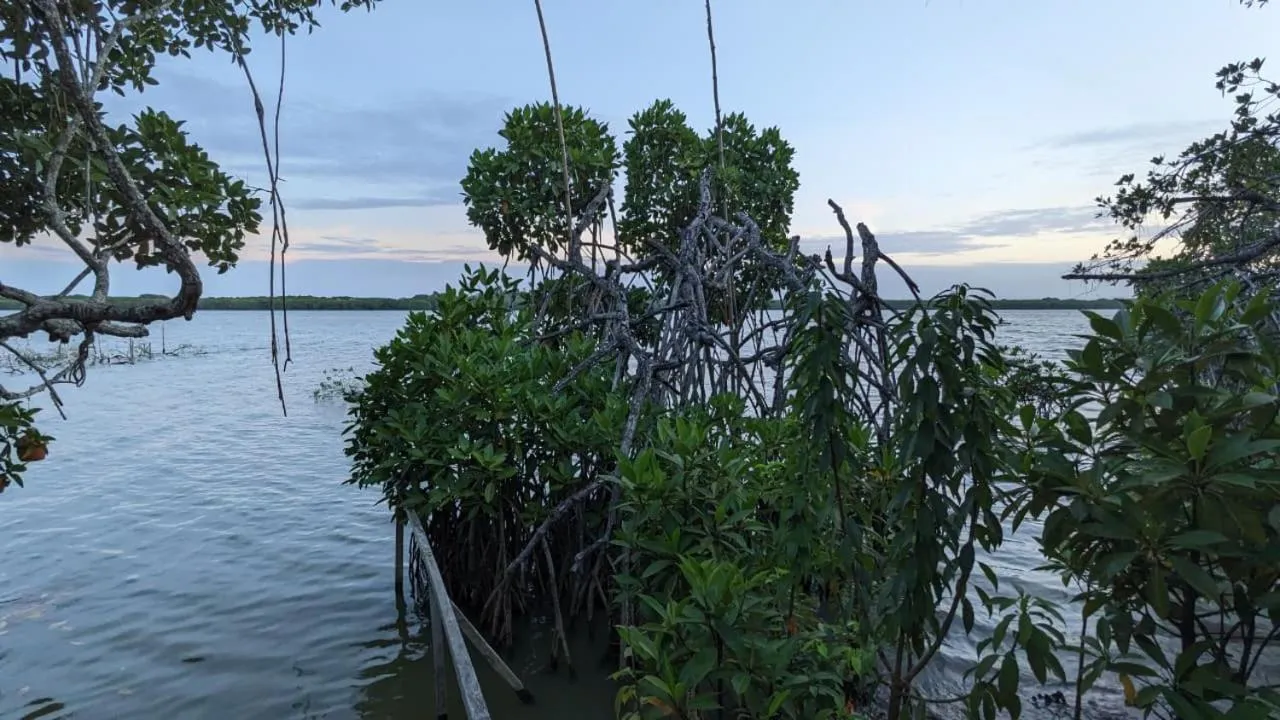 Lagoon gate Tangalle Resort