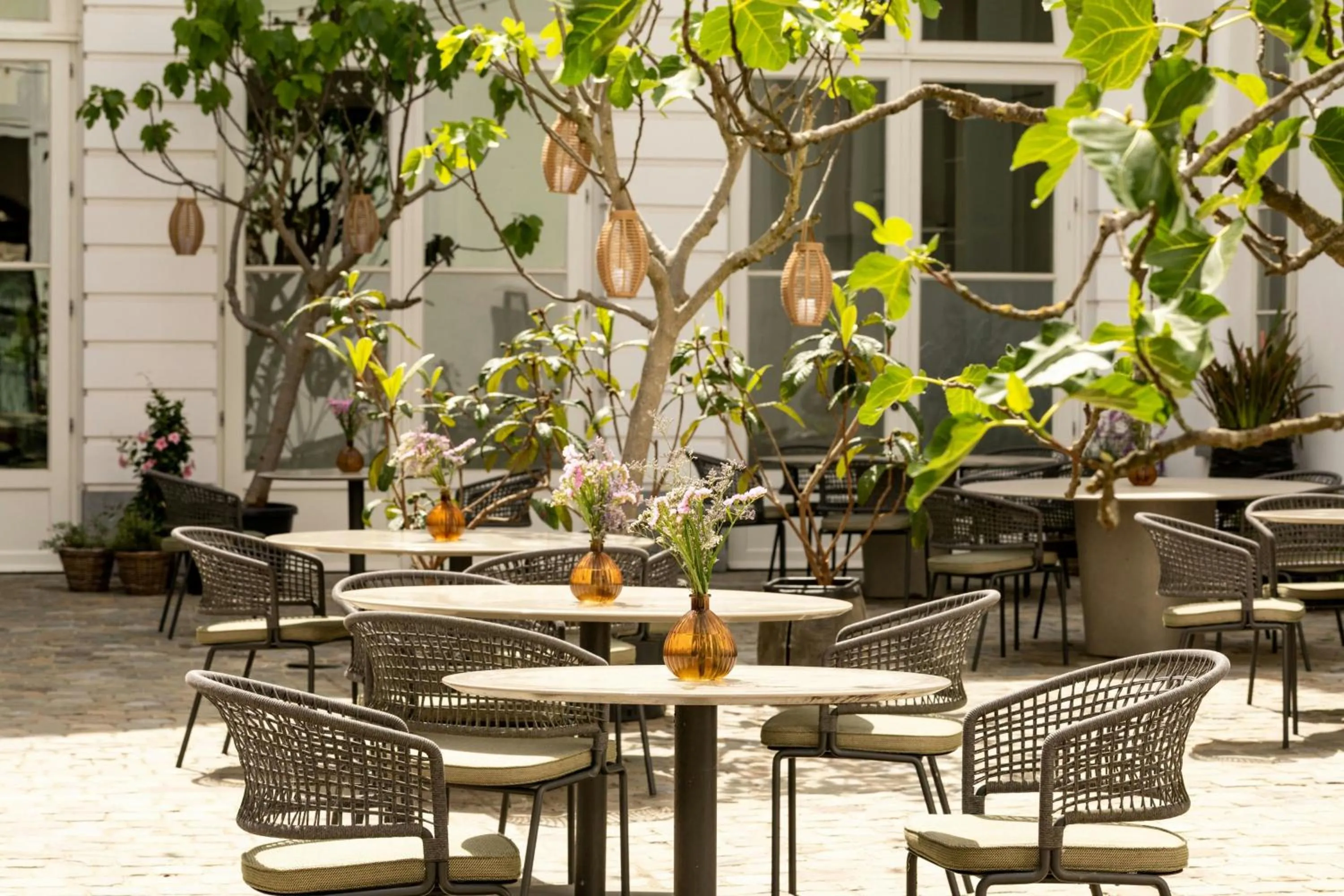 Restaurant/places to eat in Sapphire House Antwerp, Autograph Collection