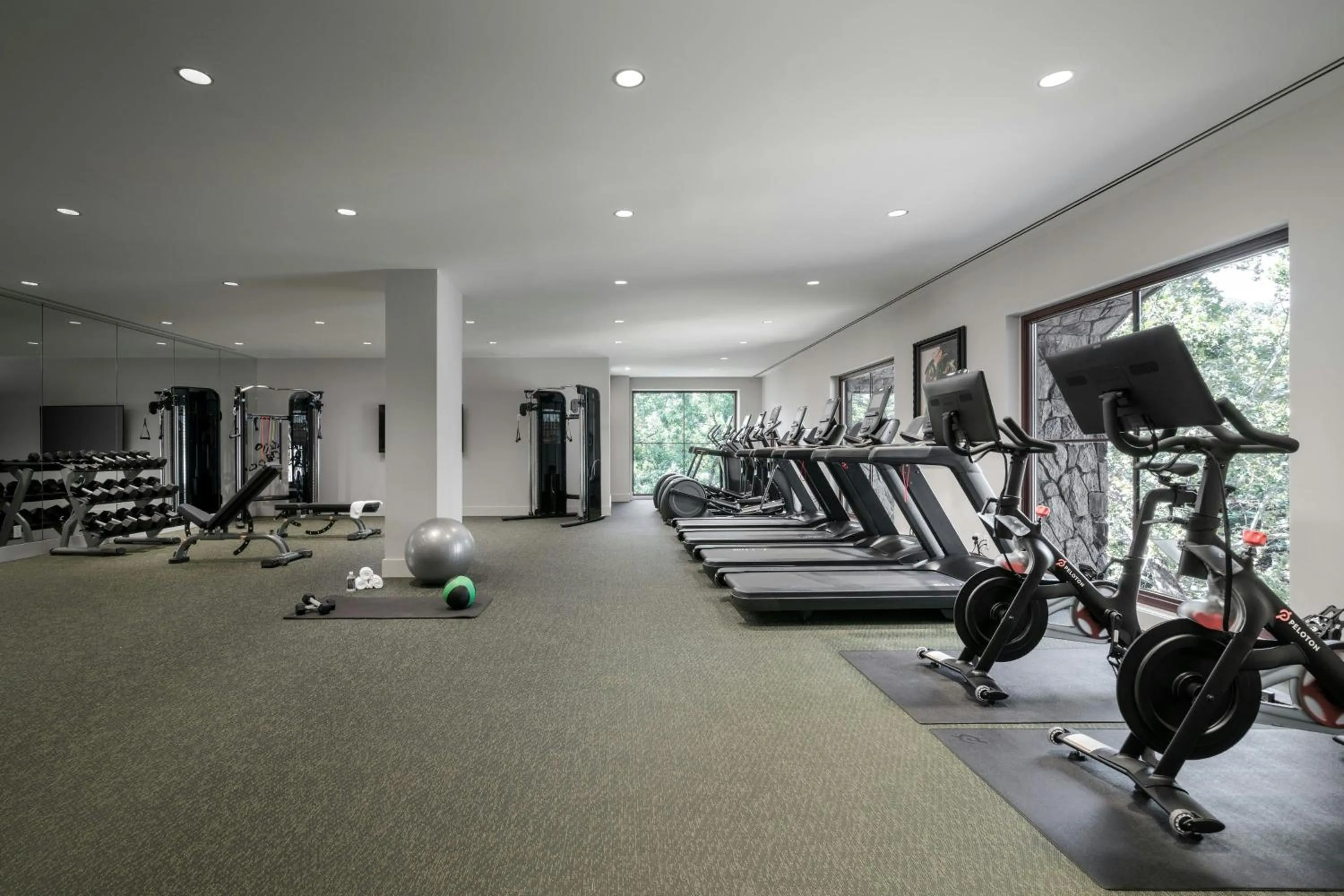 Fitness centre/facilities in Grand Bohemian Lodge Greenville, Autograph Collection