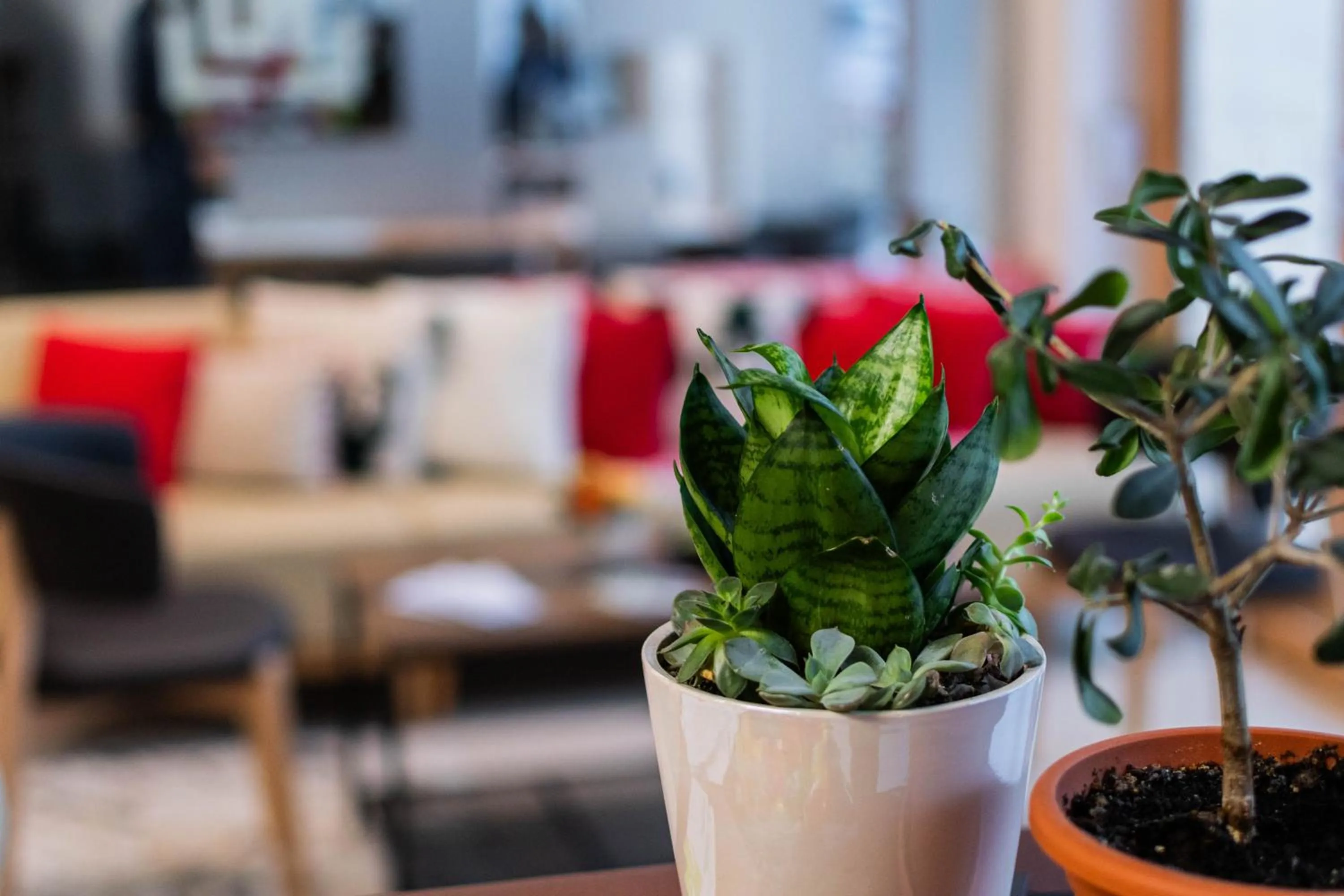 Lobby or reception in Hotel Urban