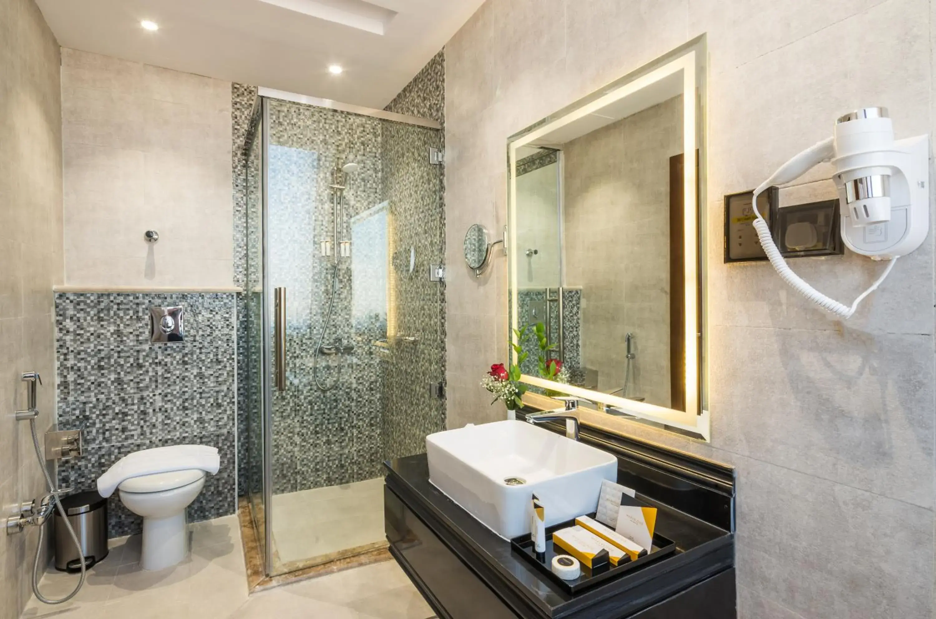 Deluxe Room in Tulip Plaza Hotel Deluxe Room in Tulip Plaza Hotel