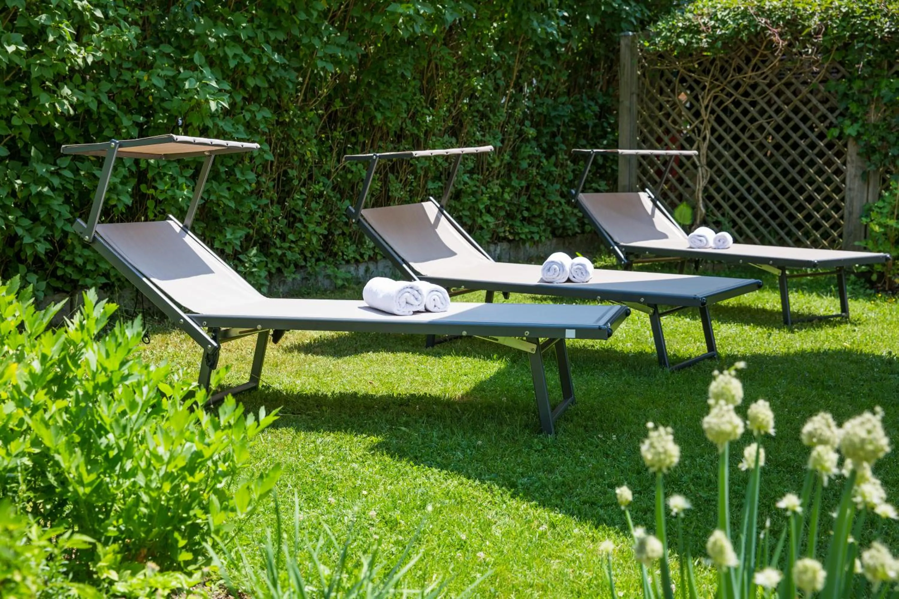 Garden in Hotel B&B Martha