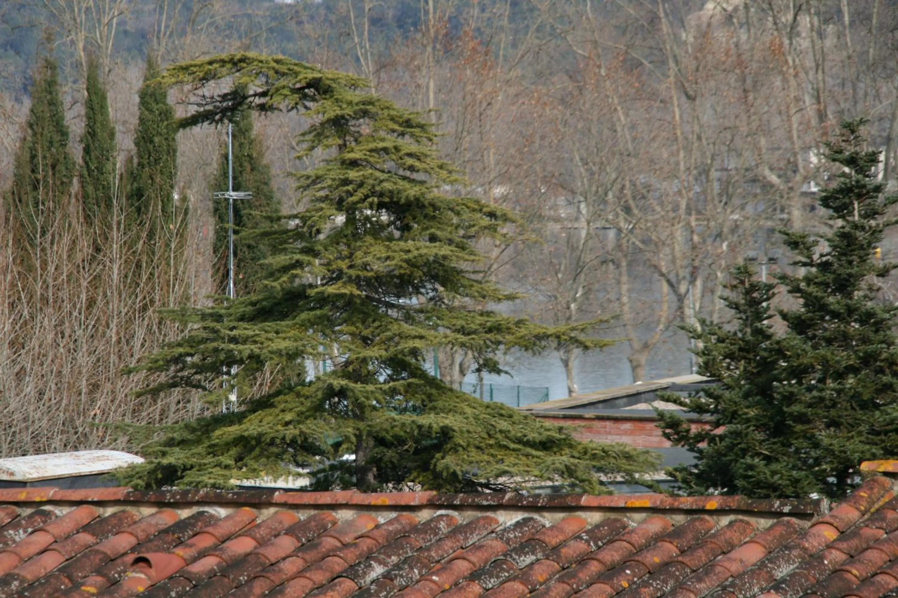 Area and facilities in Hotel L'Ast