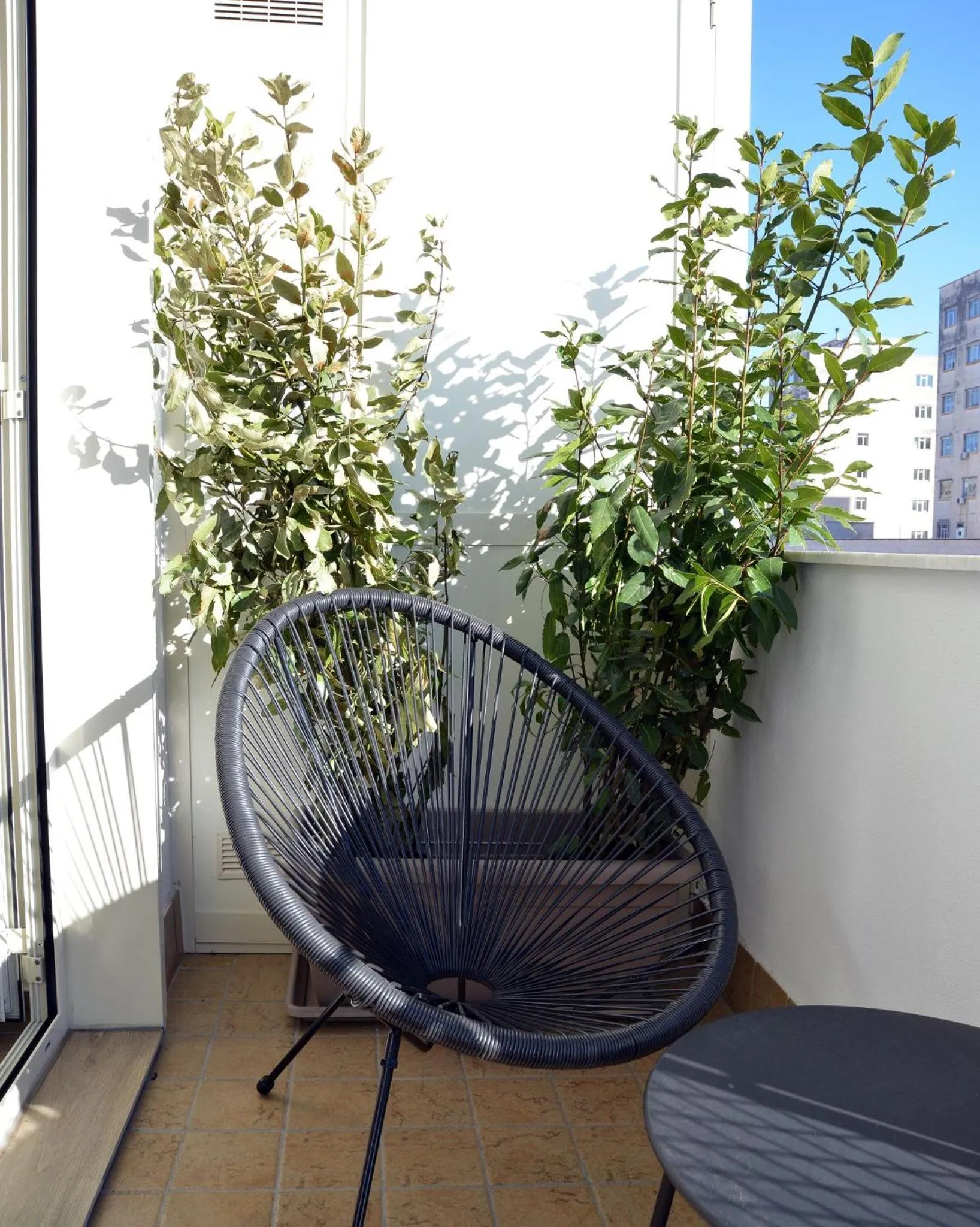 Balcony/Terrace in Urban jungle rooms