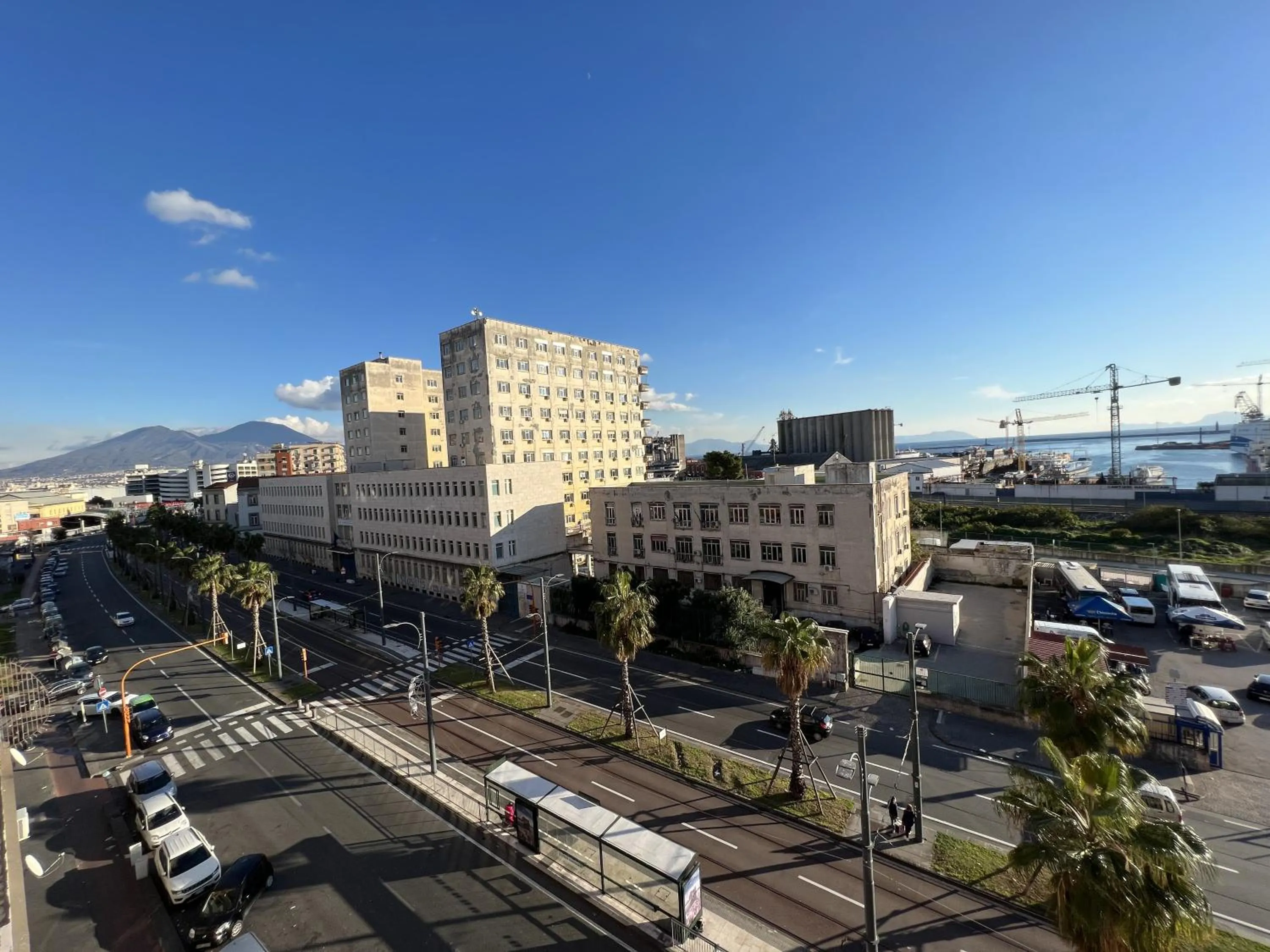 View (from property/room) in Urban jungle rooms