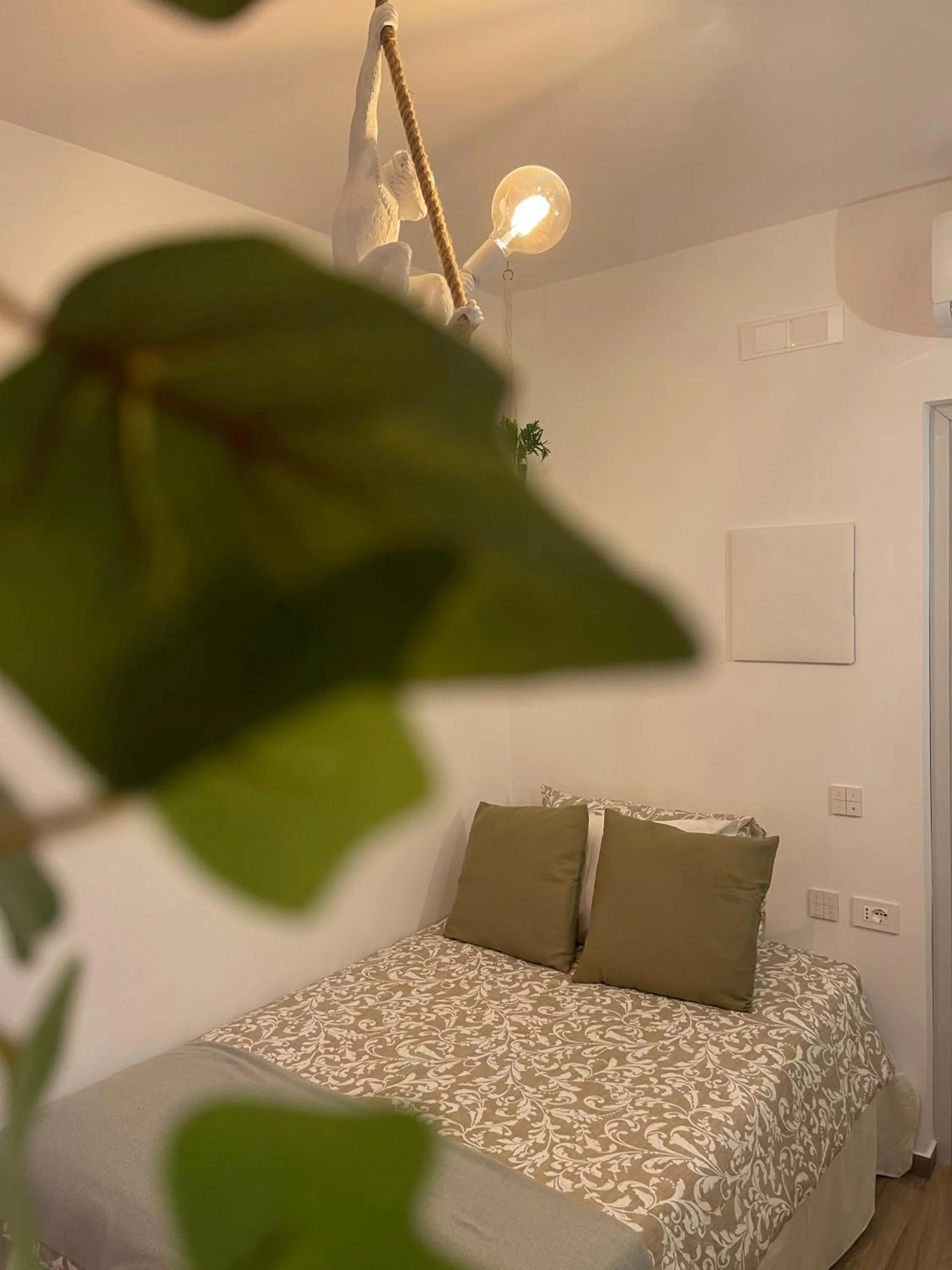 Bed in Urban jungle rooms