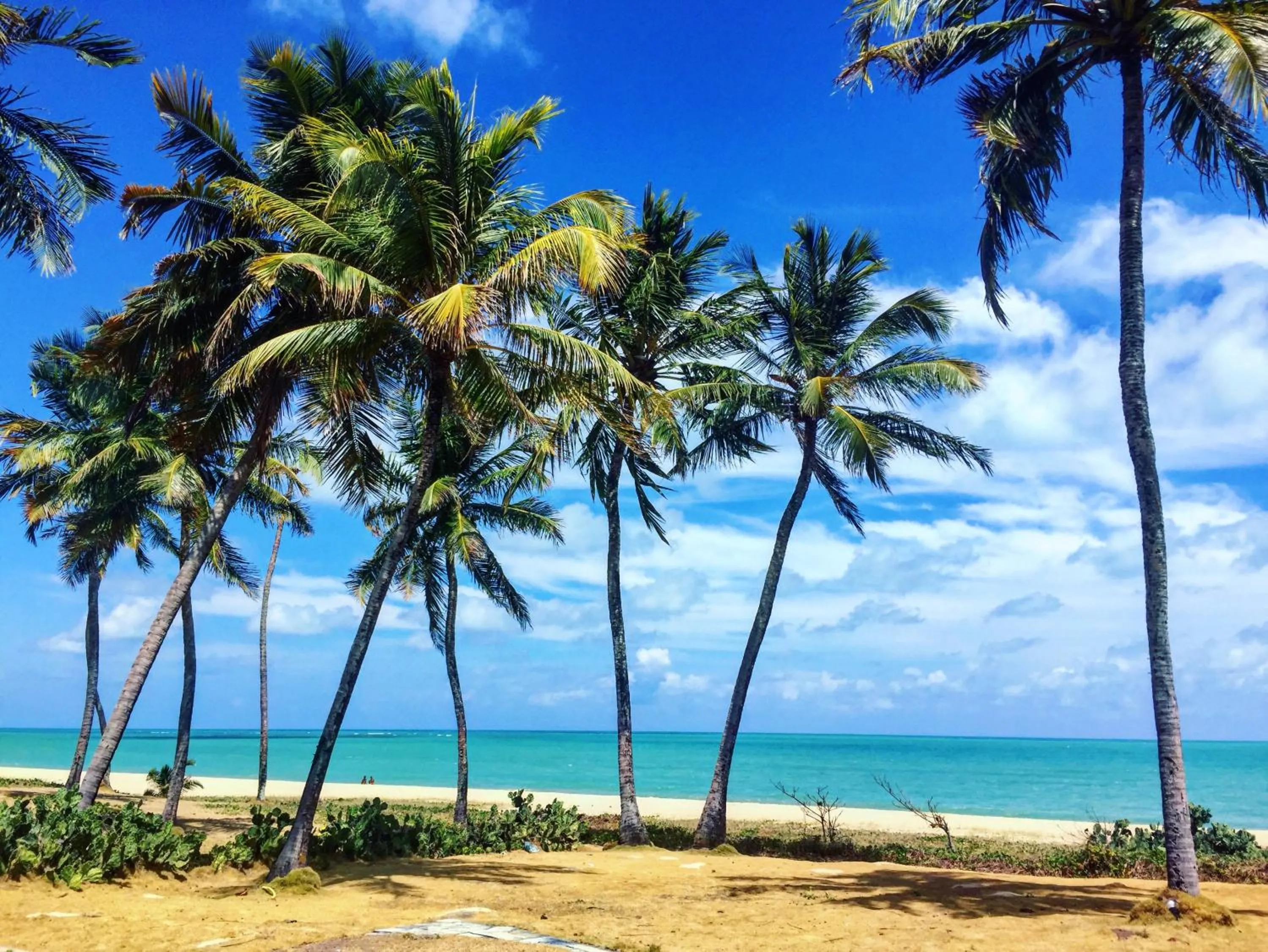 Sea view in Bessa Beach Hotel