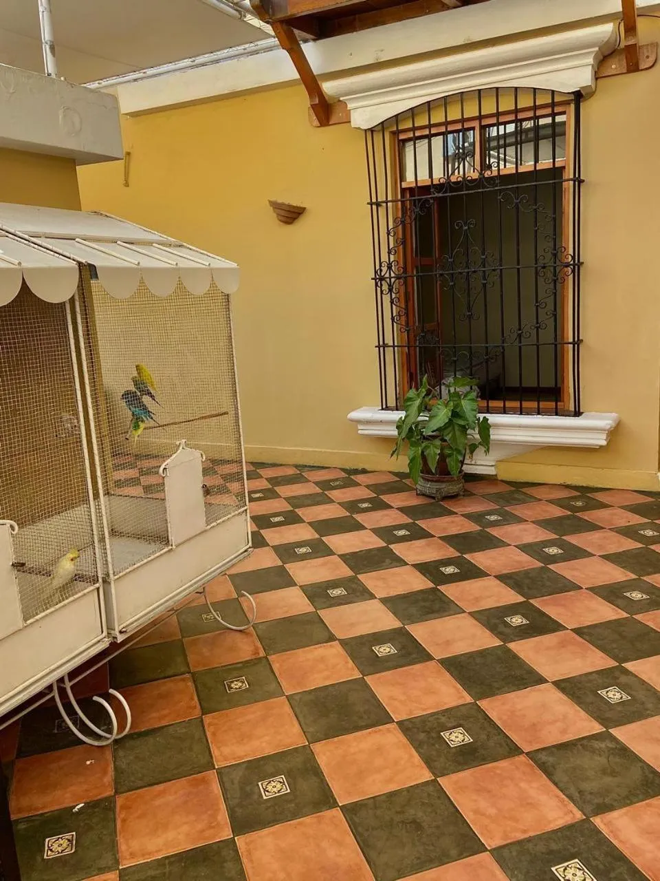 Patio in Hosteria Suiza