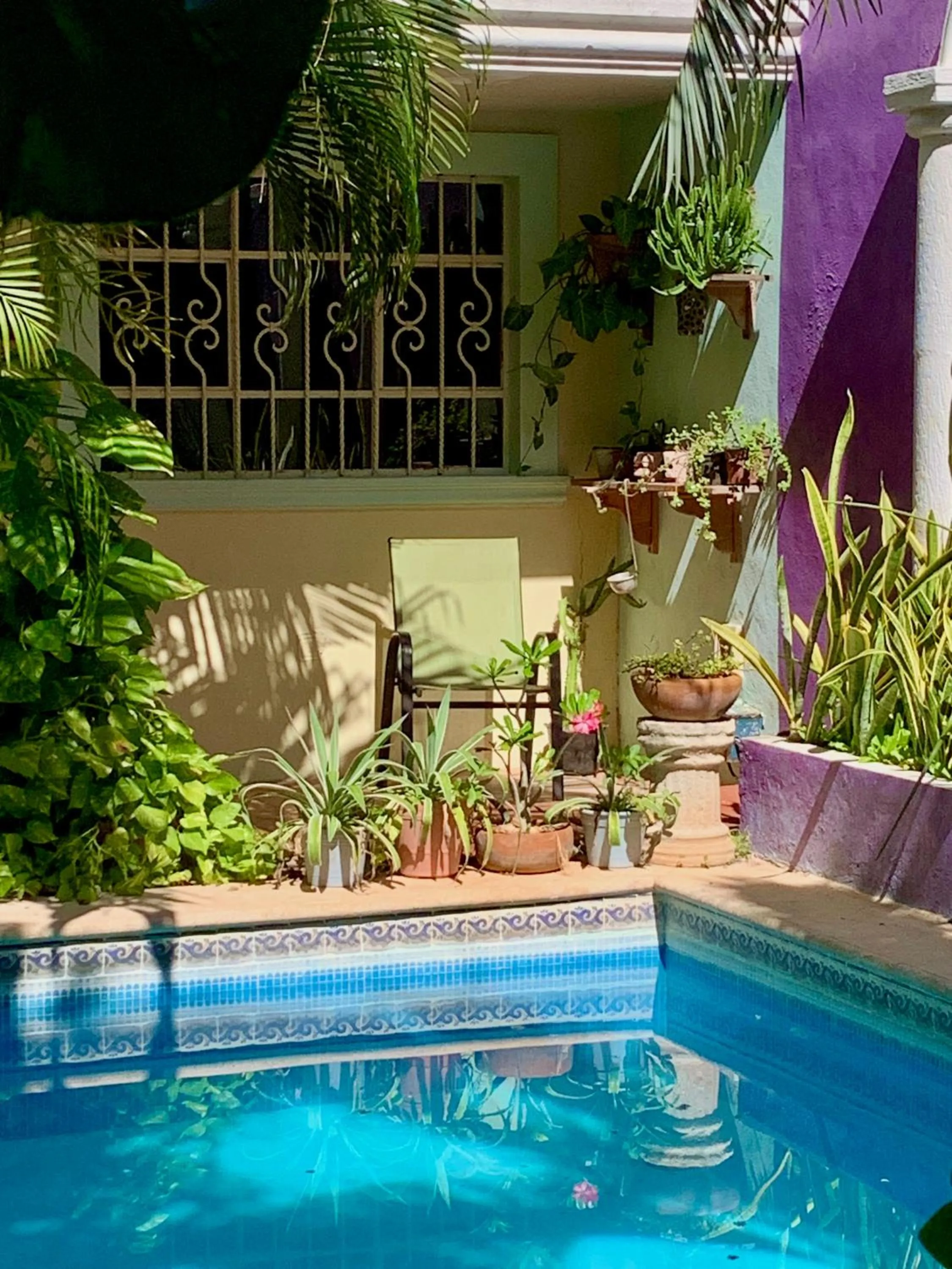 Property building in Hotel Santa Ana