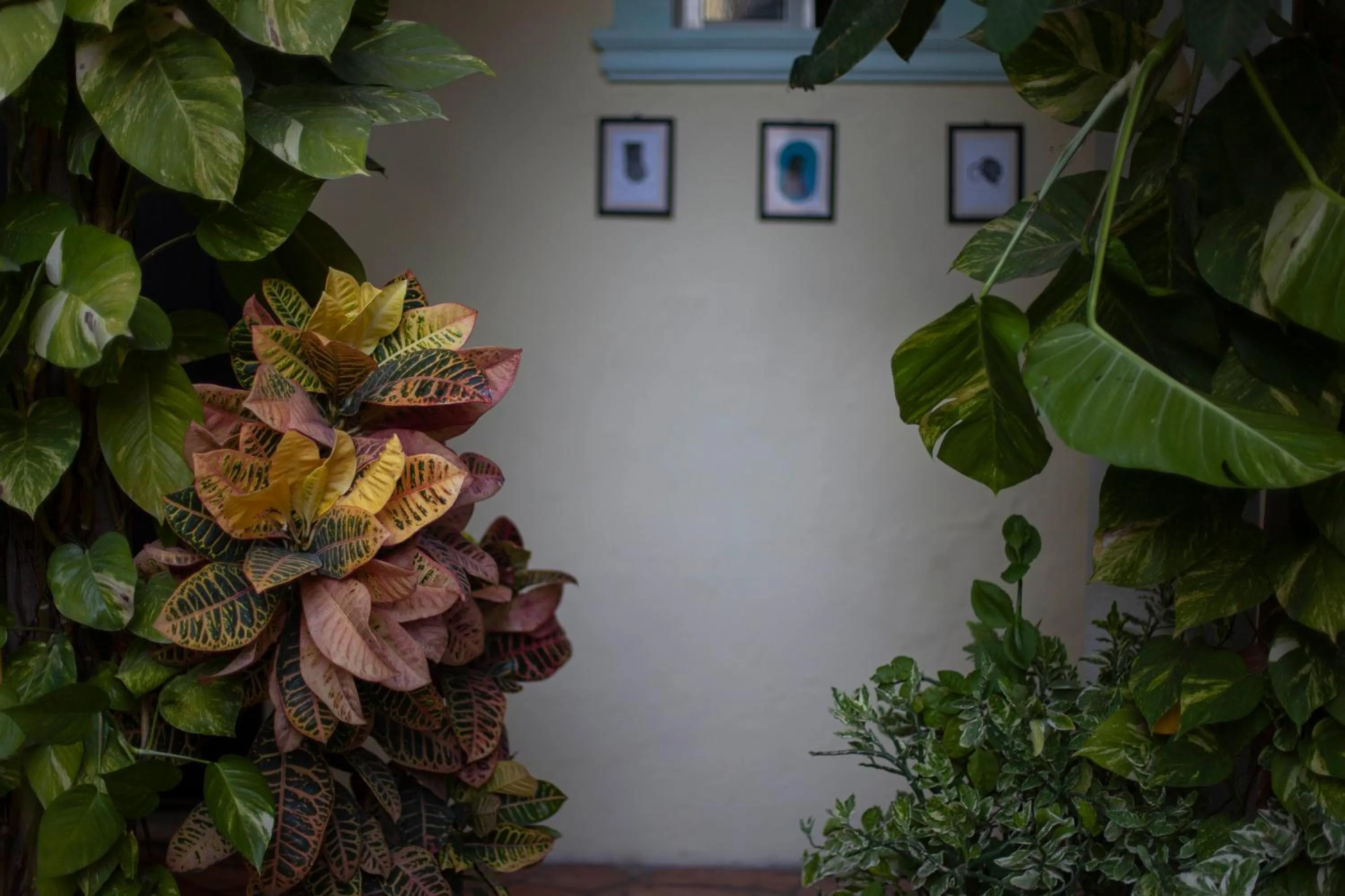Garden view in Hotel Santa Ana