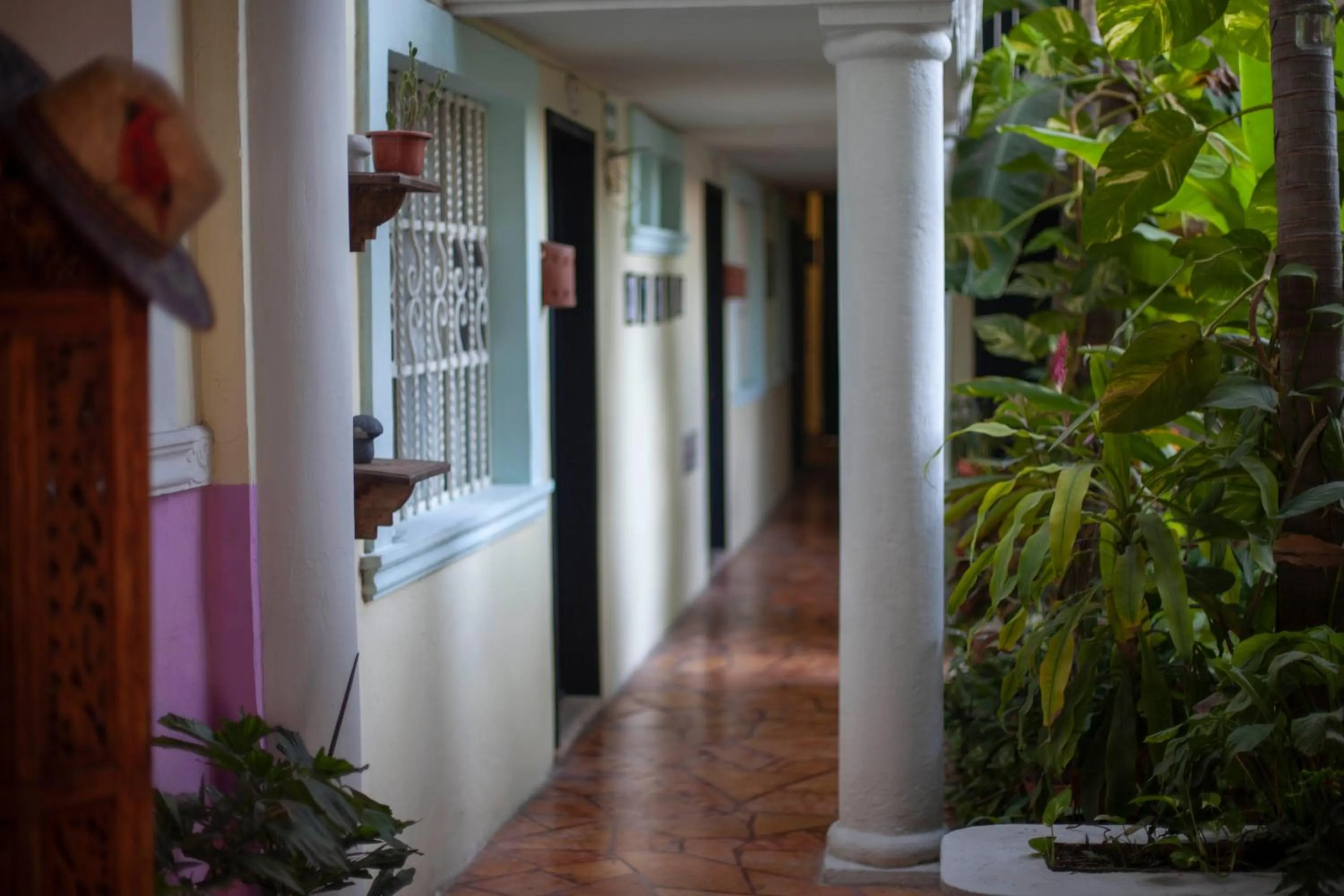 Property building in Hotel Santa Ana