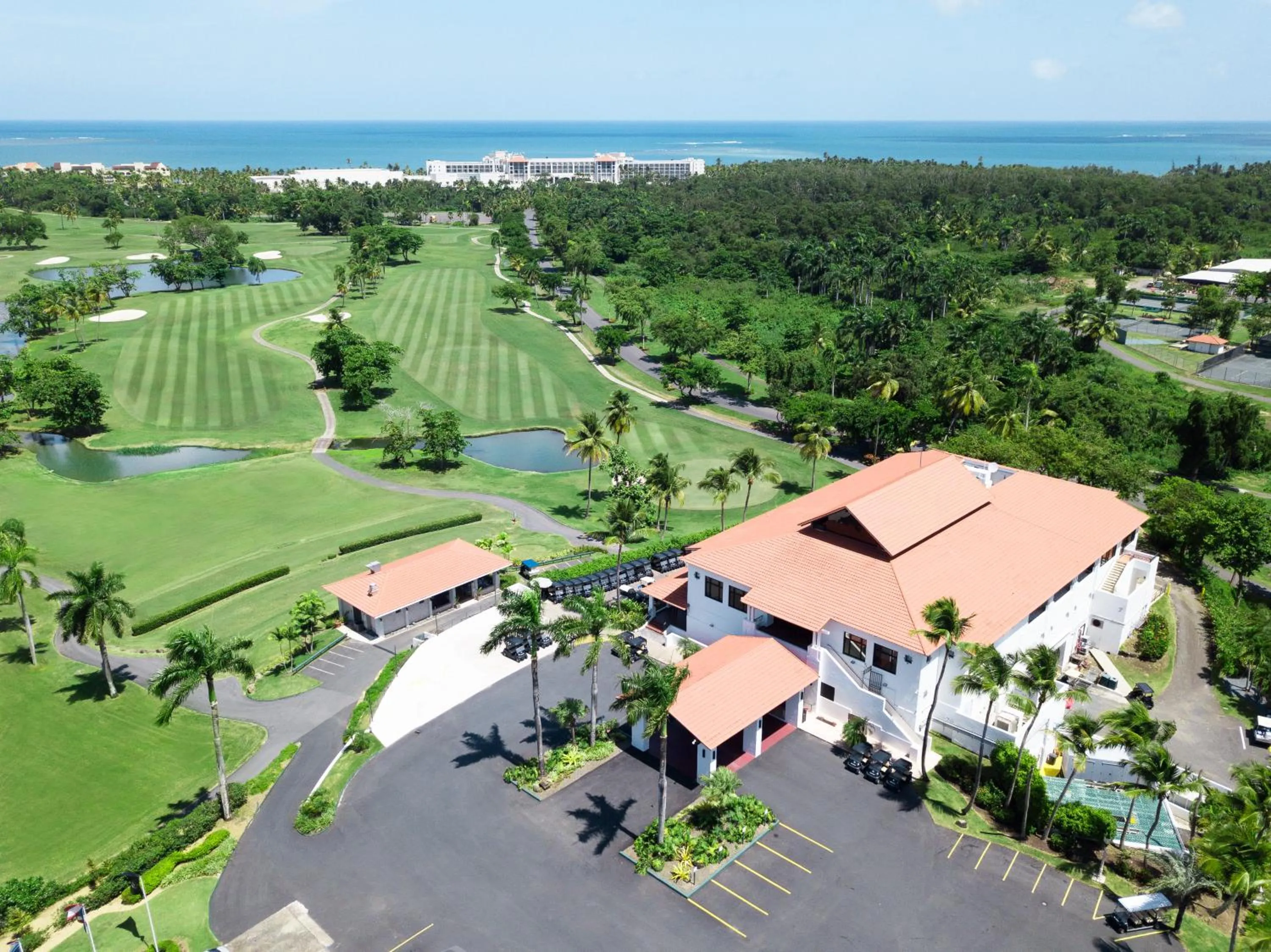 View (from property/room) in Wyndham Grand Rio Mar Rainforest Beach and Golf Resort