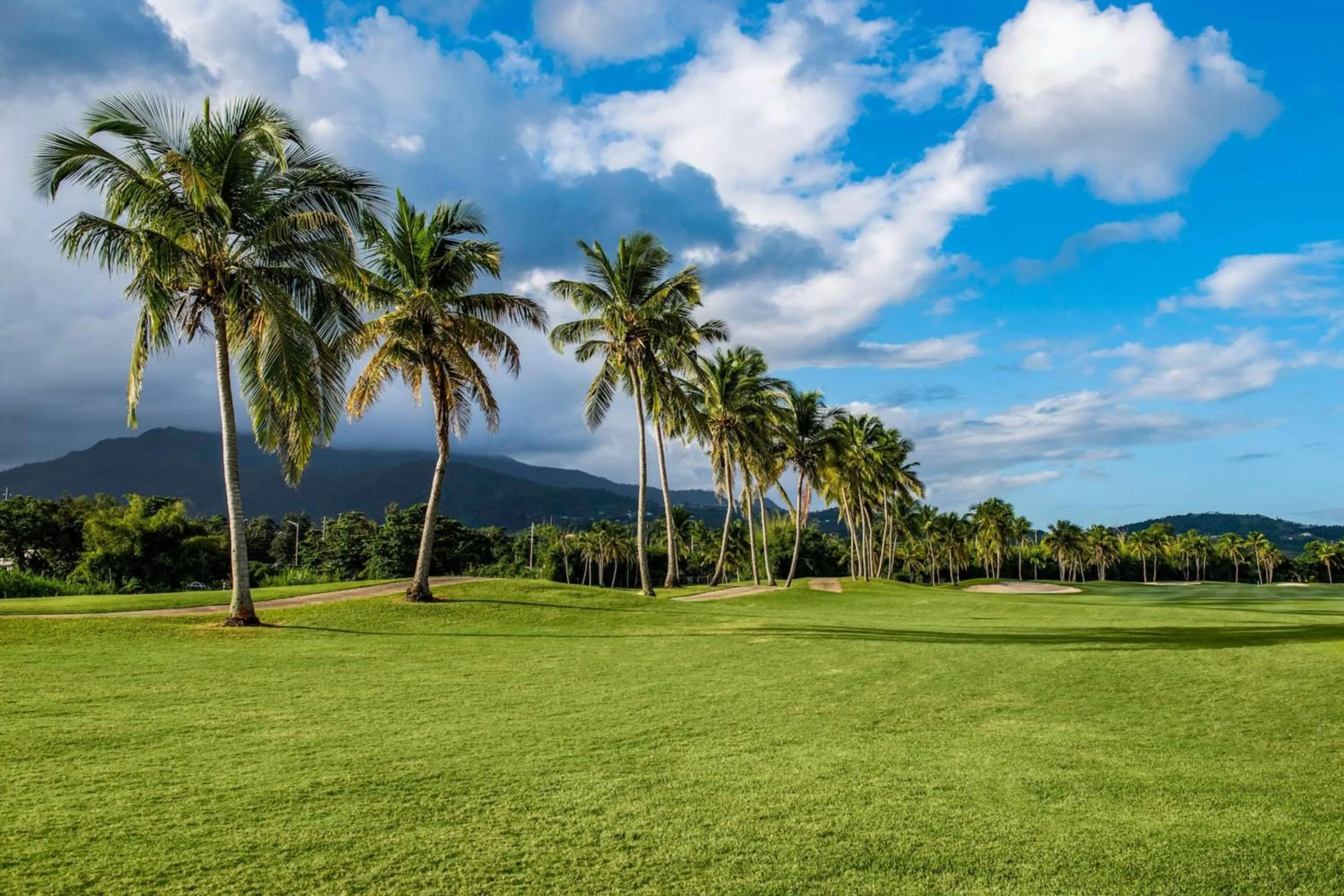 Golfcourse in Wyndham Grand Rio Mar Rainforest Beach and Golf Resort