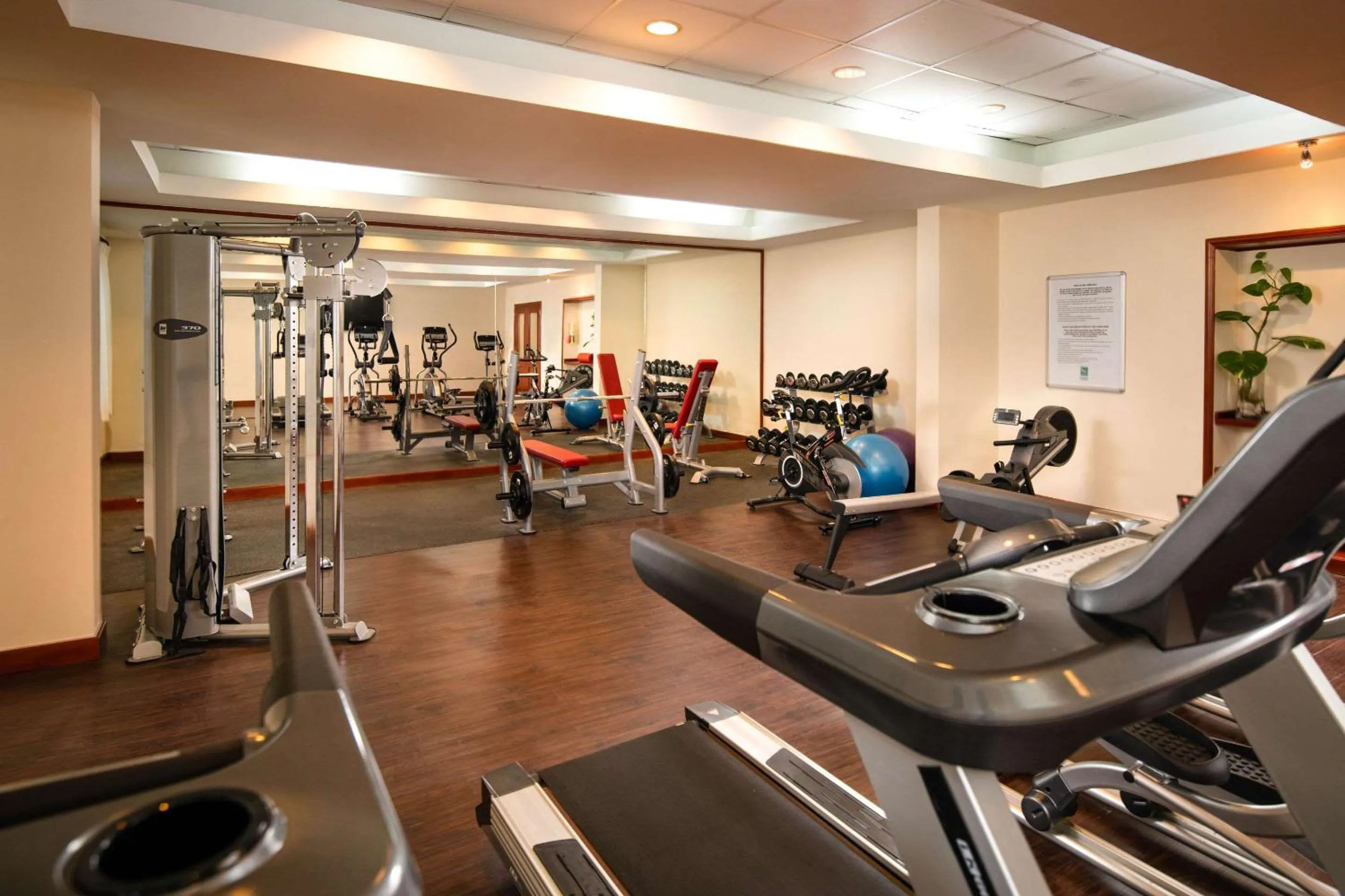 Fitness centre/facilities in Quality Hotel Real Aeropuerto Santo Domingo