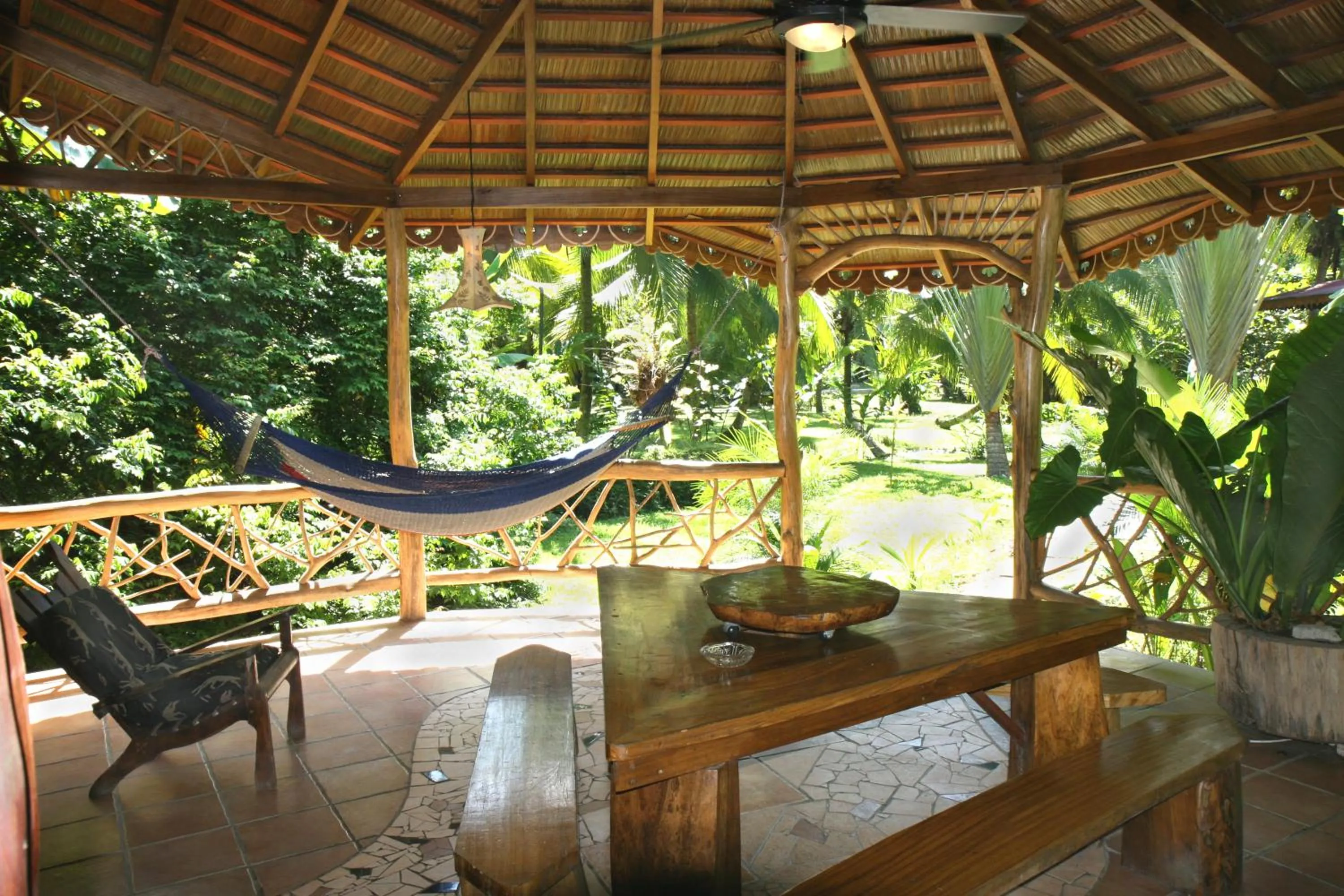 View (from property/room) in Hotel La Costa de Papito