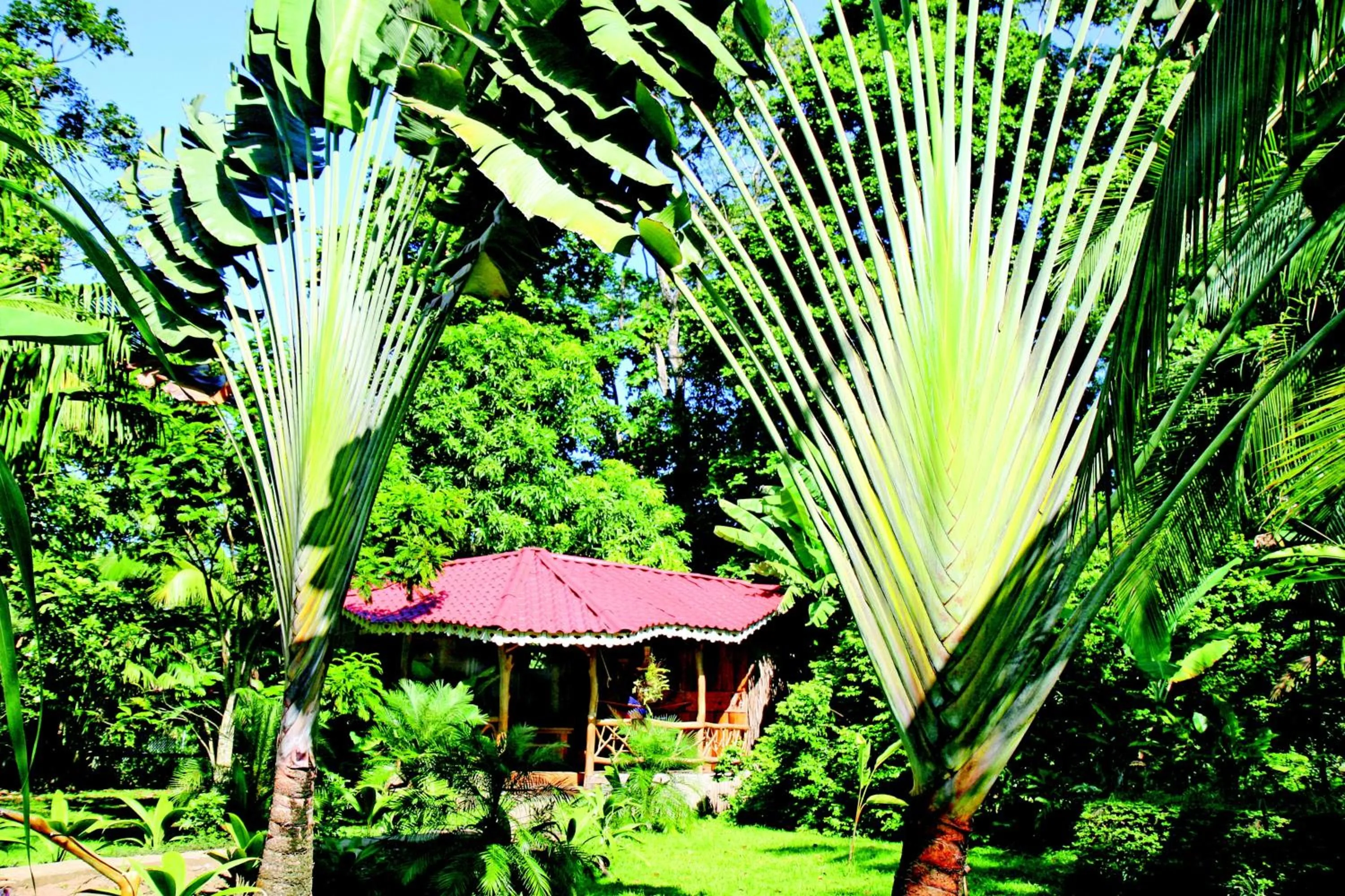 Garden in Hotel La Costa de Papito