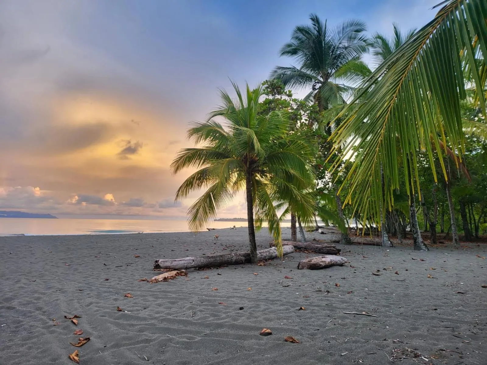 Natural landscape in Agua Dulce On The Beach
