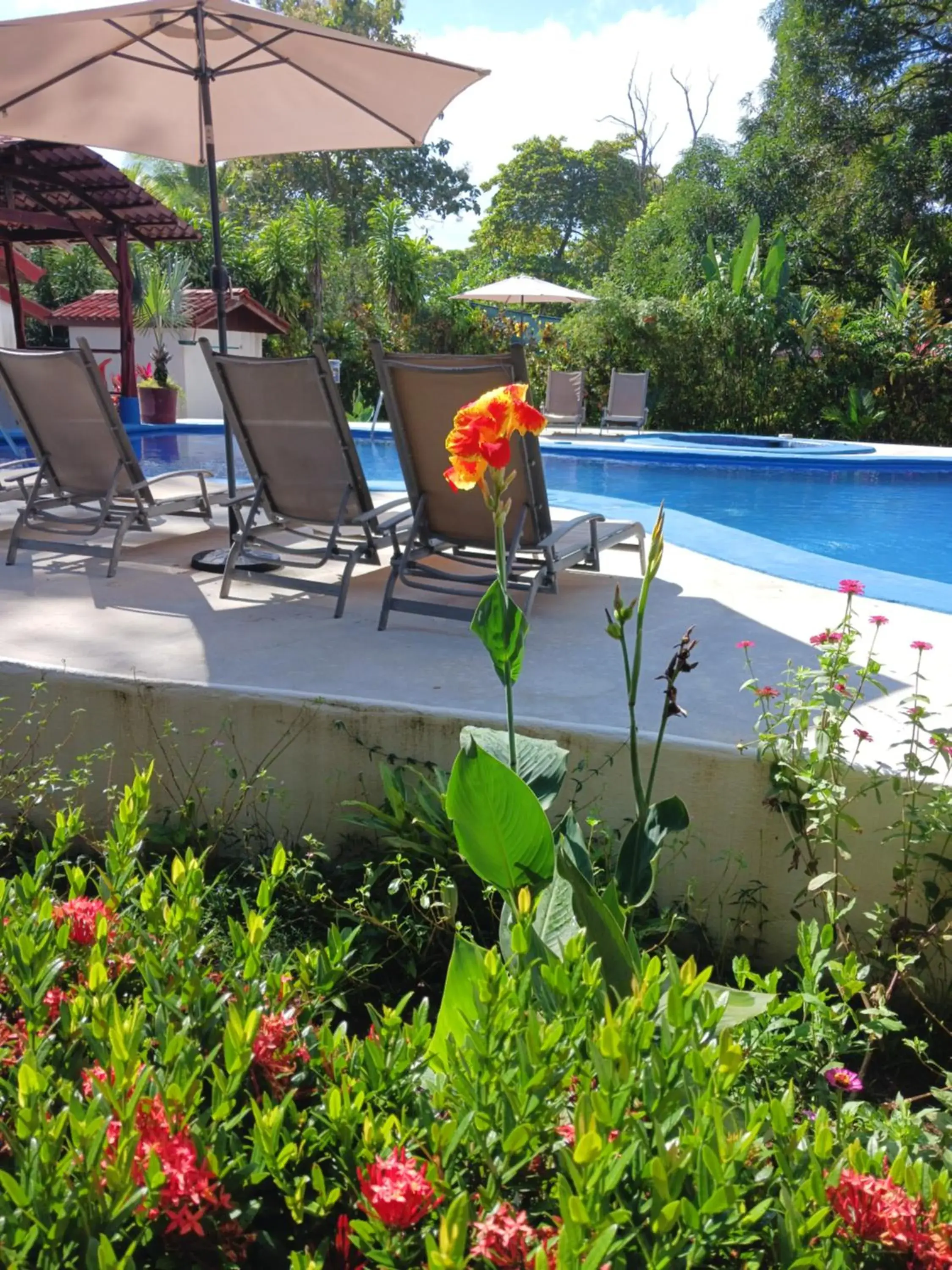 Suite with Pool View in Agua Dulce On The Beach Suite with Pool View in Agua Dulce On The Beach