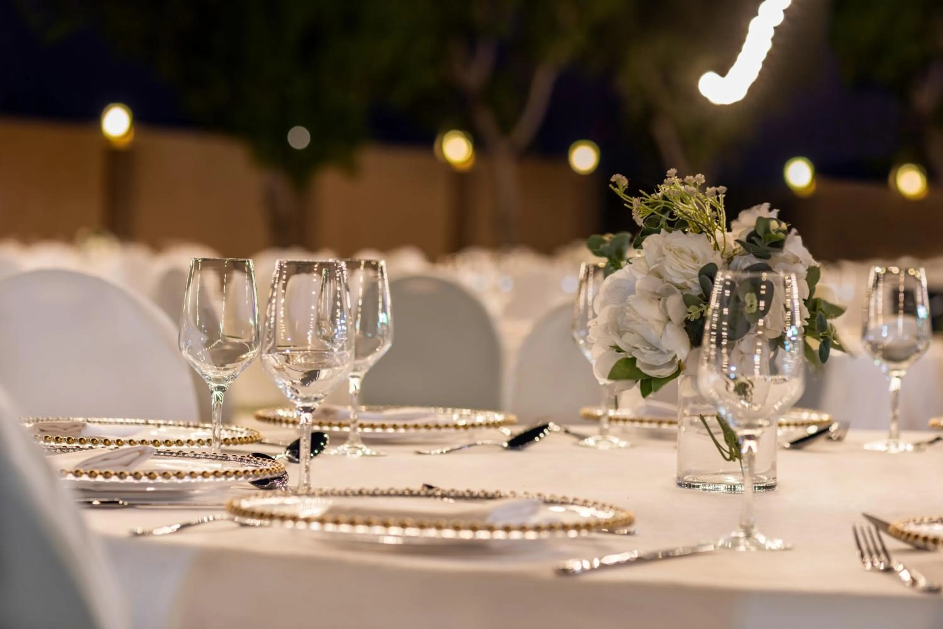 Banquet/Function facilities in Al Maya Island & Resort