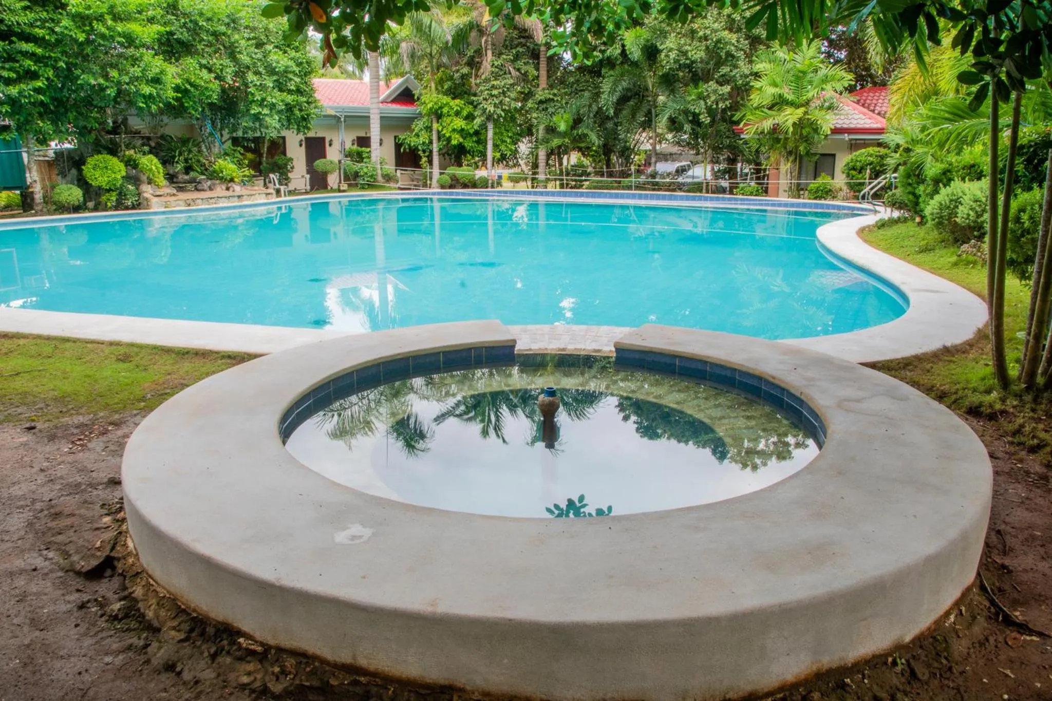 Pool view in Almira Diving Resort- Panglao