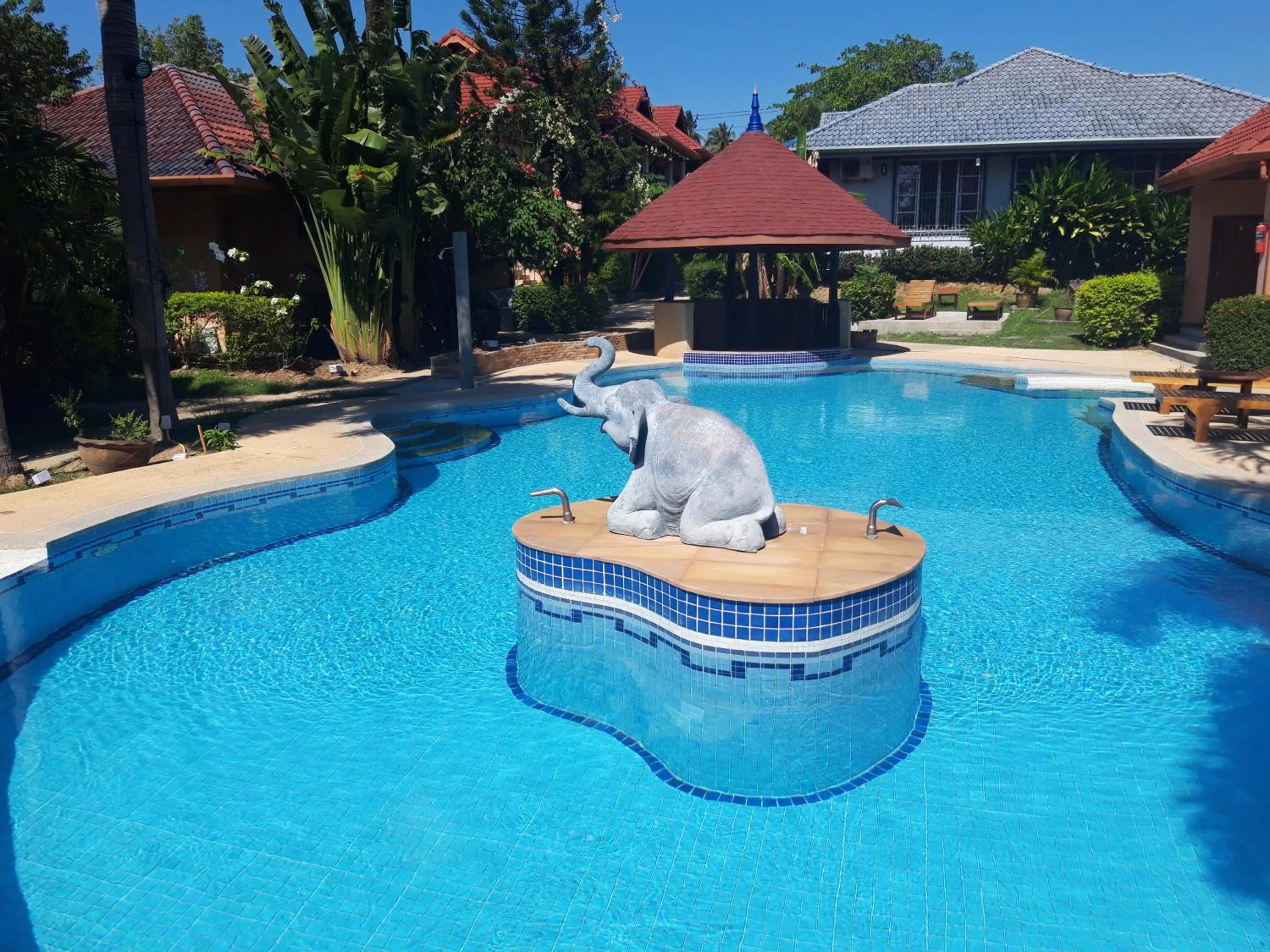 Pool view in The Pace Phuket Boutique Resort