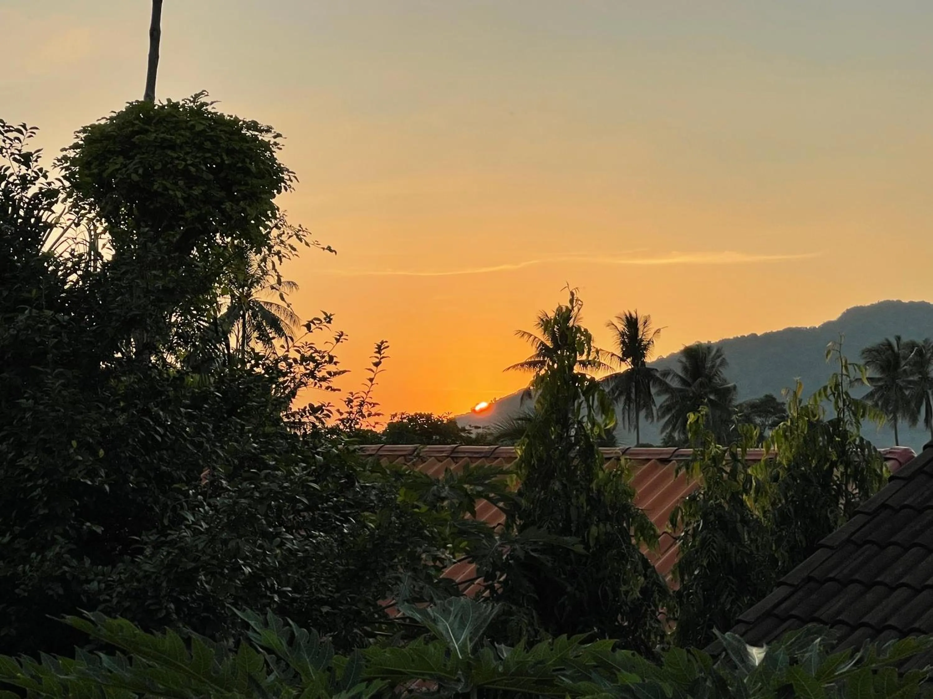 Natural landscape in The Pace Phuket Boutique Resort