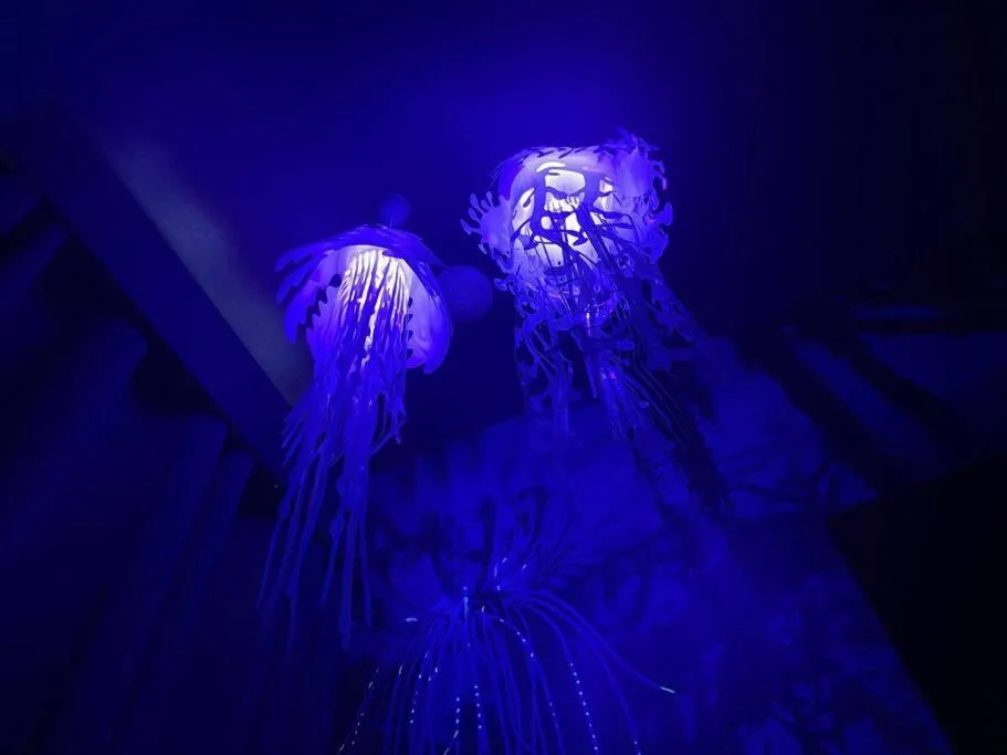 Spectacular 12-Bed Mansion with game room