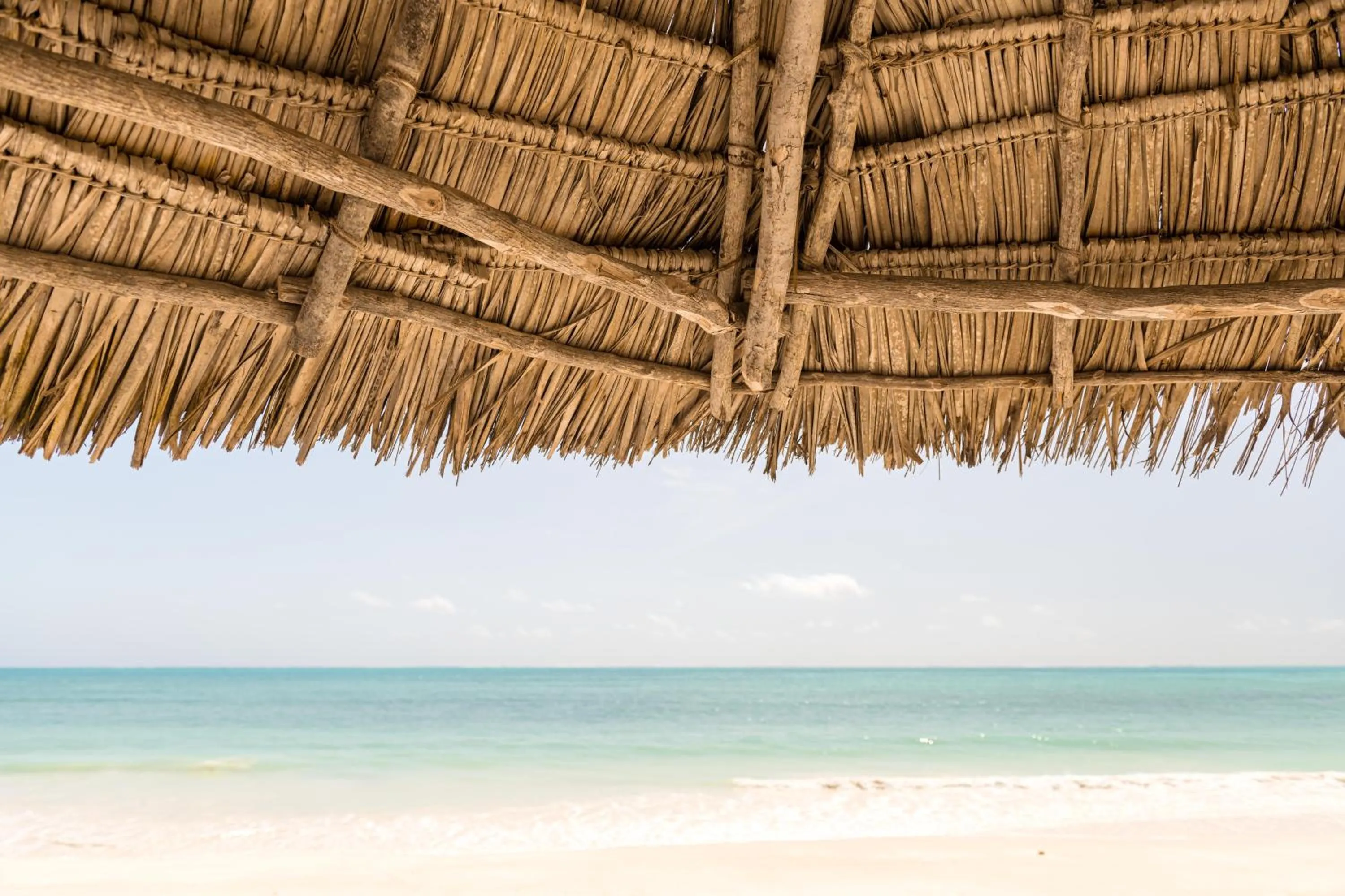 Natural landscape in Cinnamon Hotel