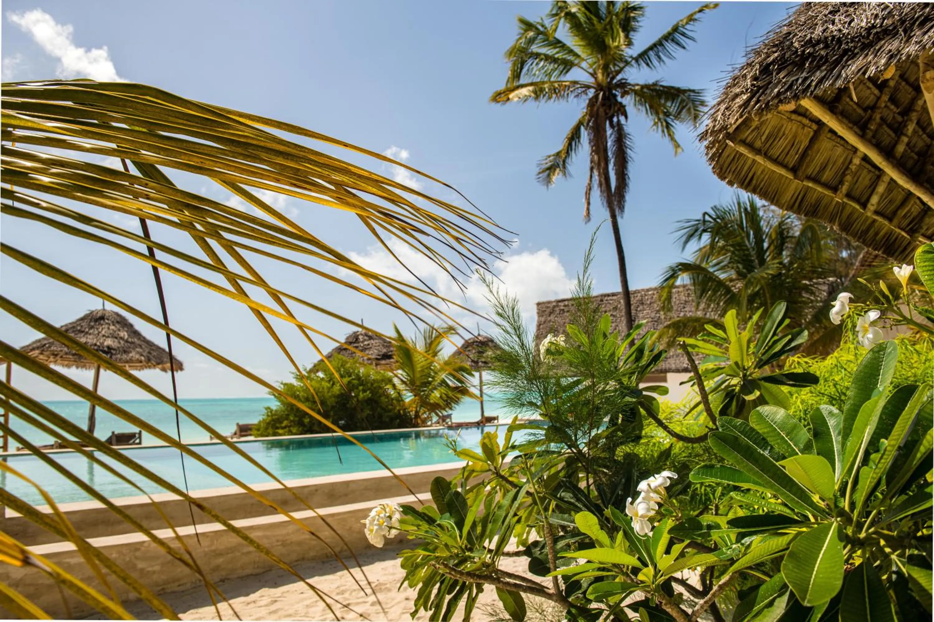 Natural landscape in Cinnamon Hotel