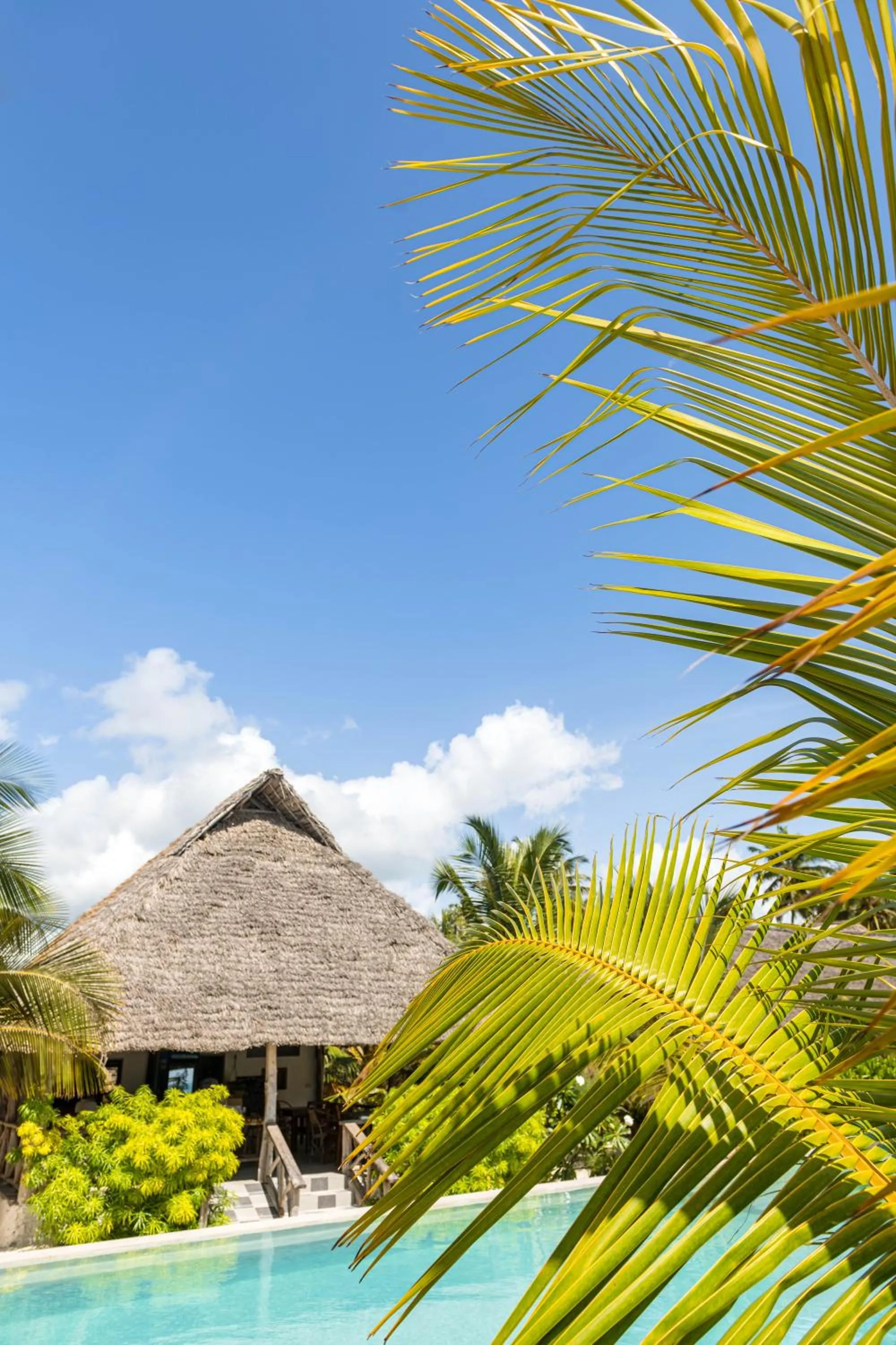 Restaurant/places to eat in Cinnamon Hotel