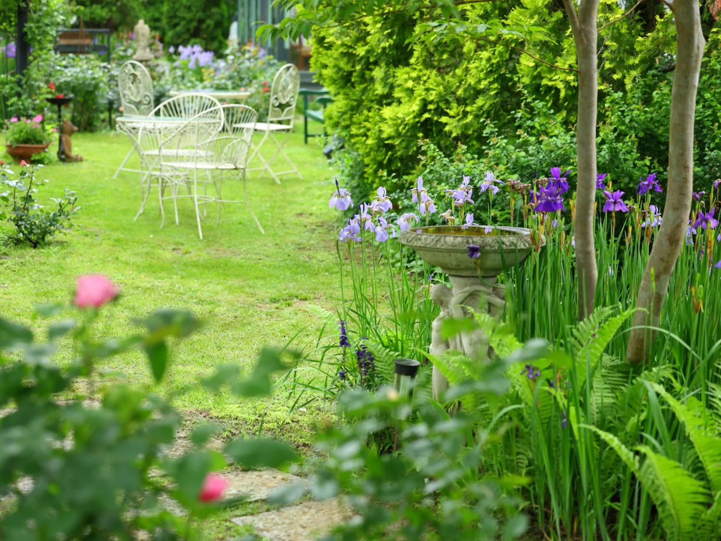 Garden in Petit Hotel & Restaurant Old Age