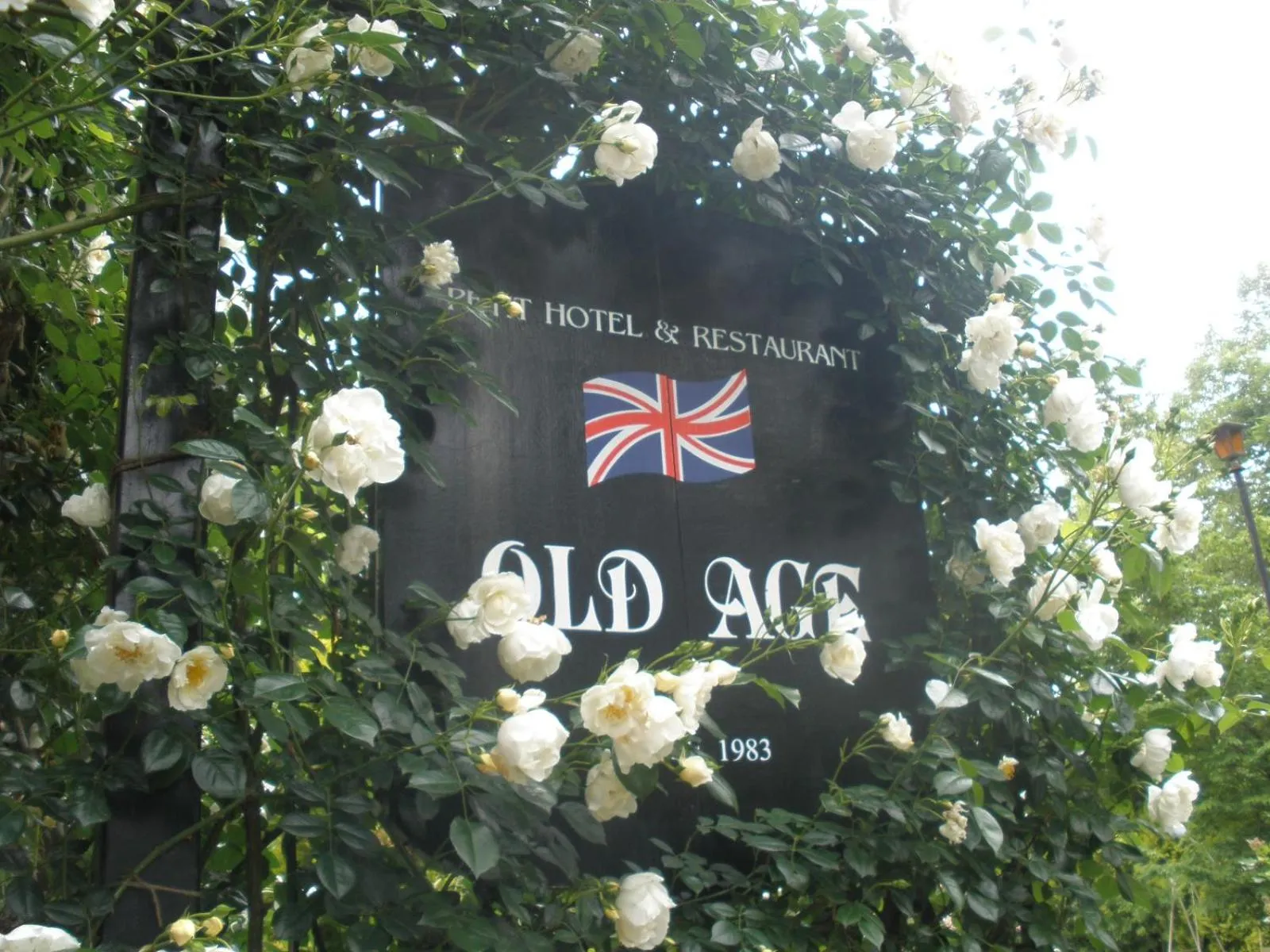 Garden in Petit Hotel & Restaurant Old Age