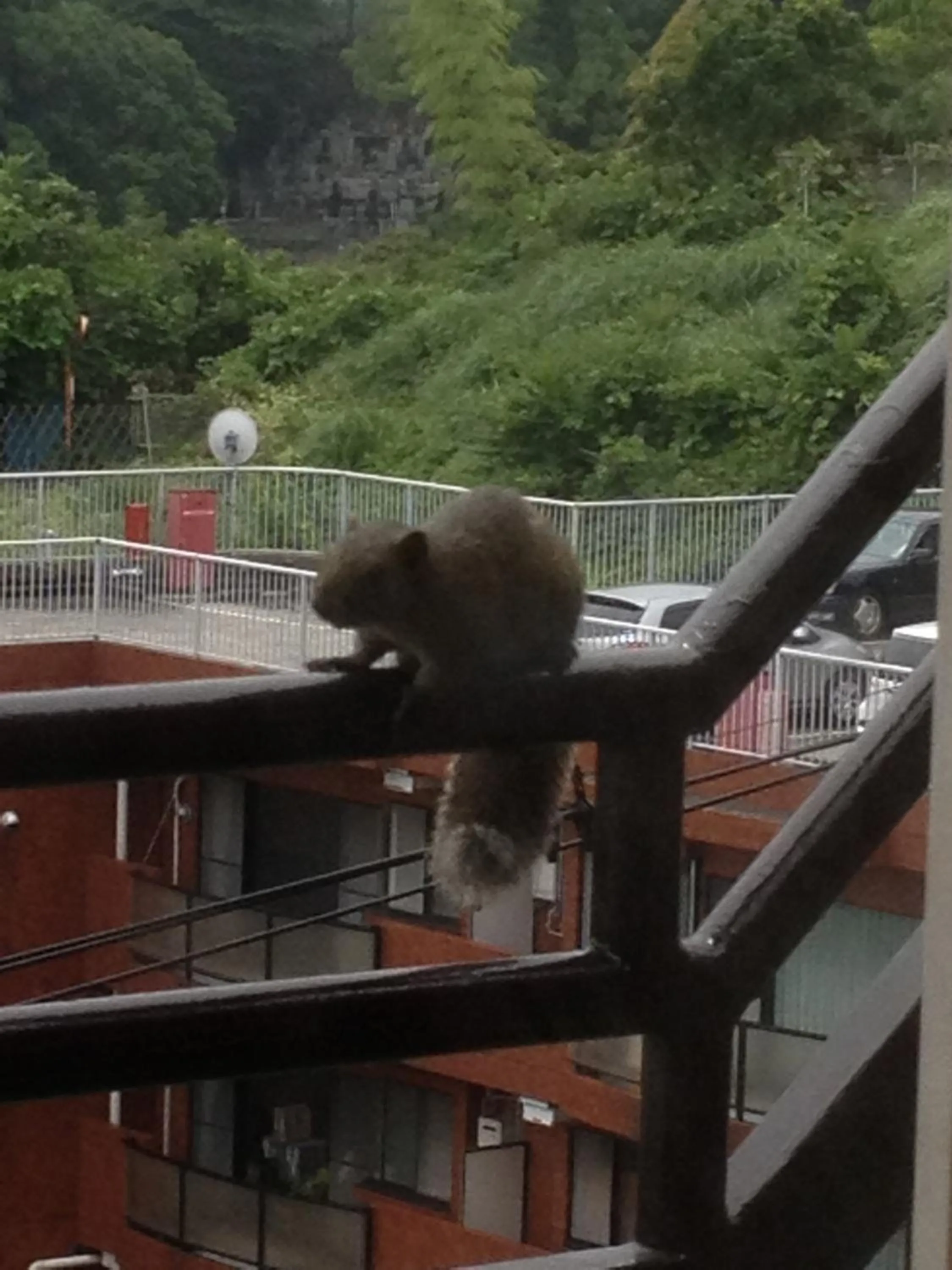 Other in Beach Commune Simploose (Adult Only)