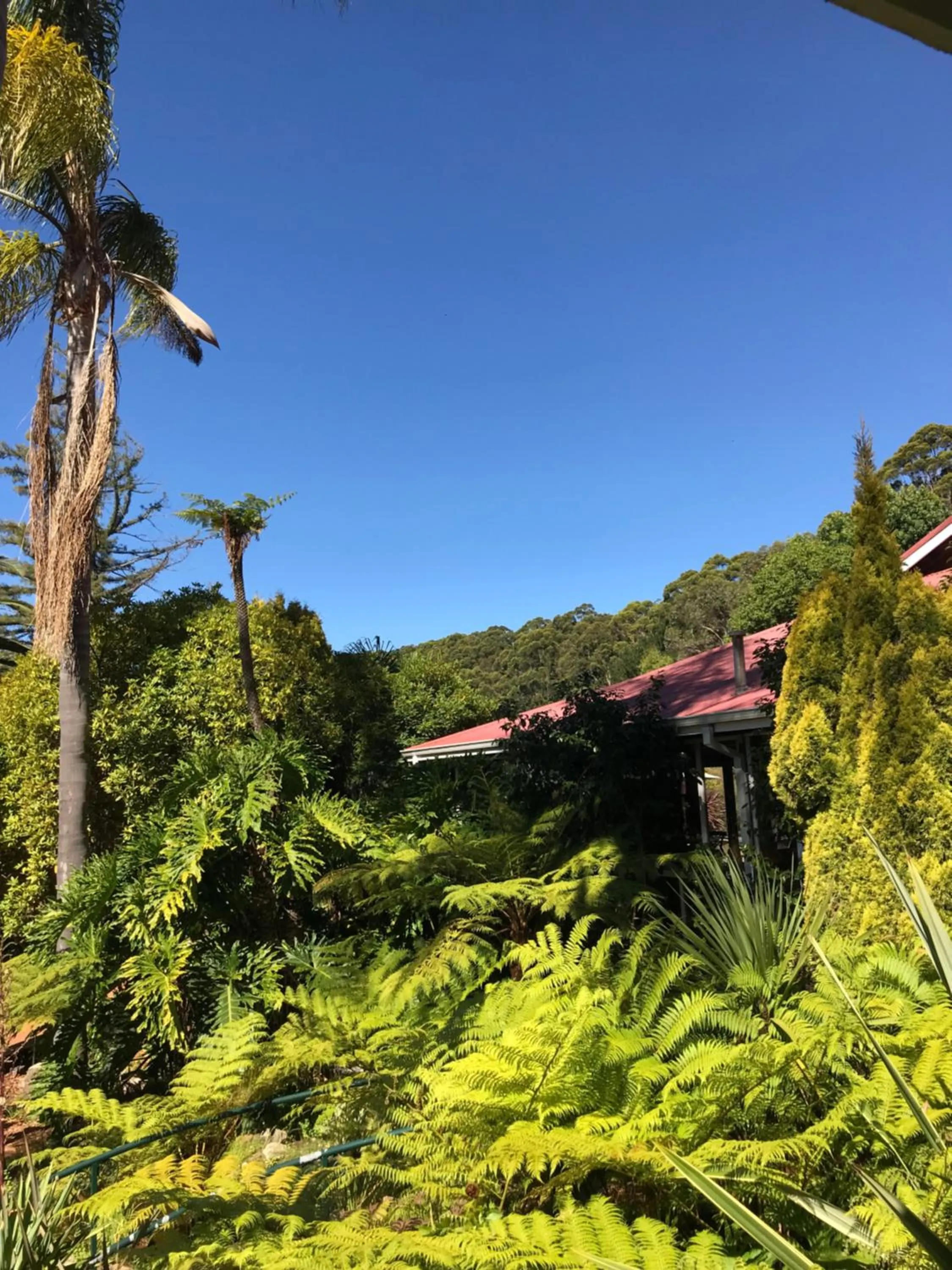 Spring in Forest Lodge Resort