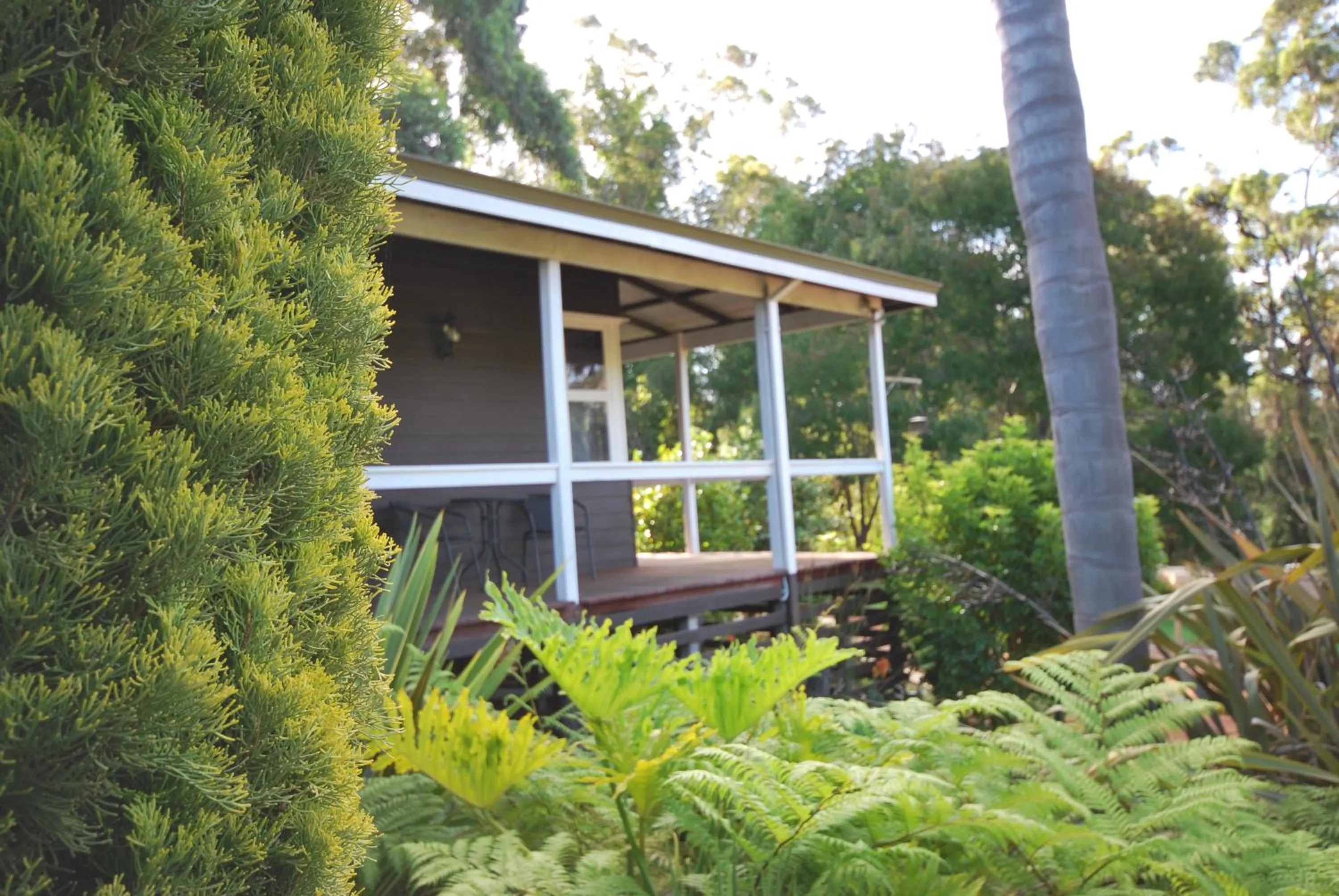 Spring in Forest Lodge Resort