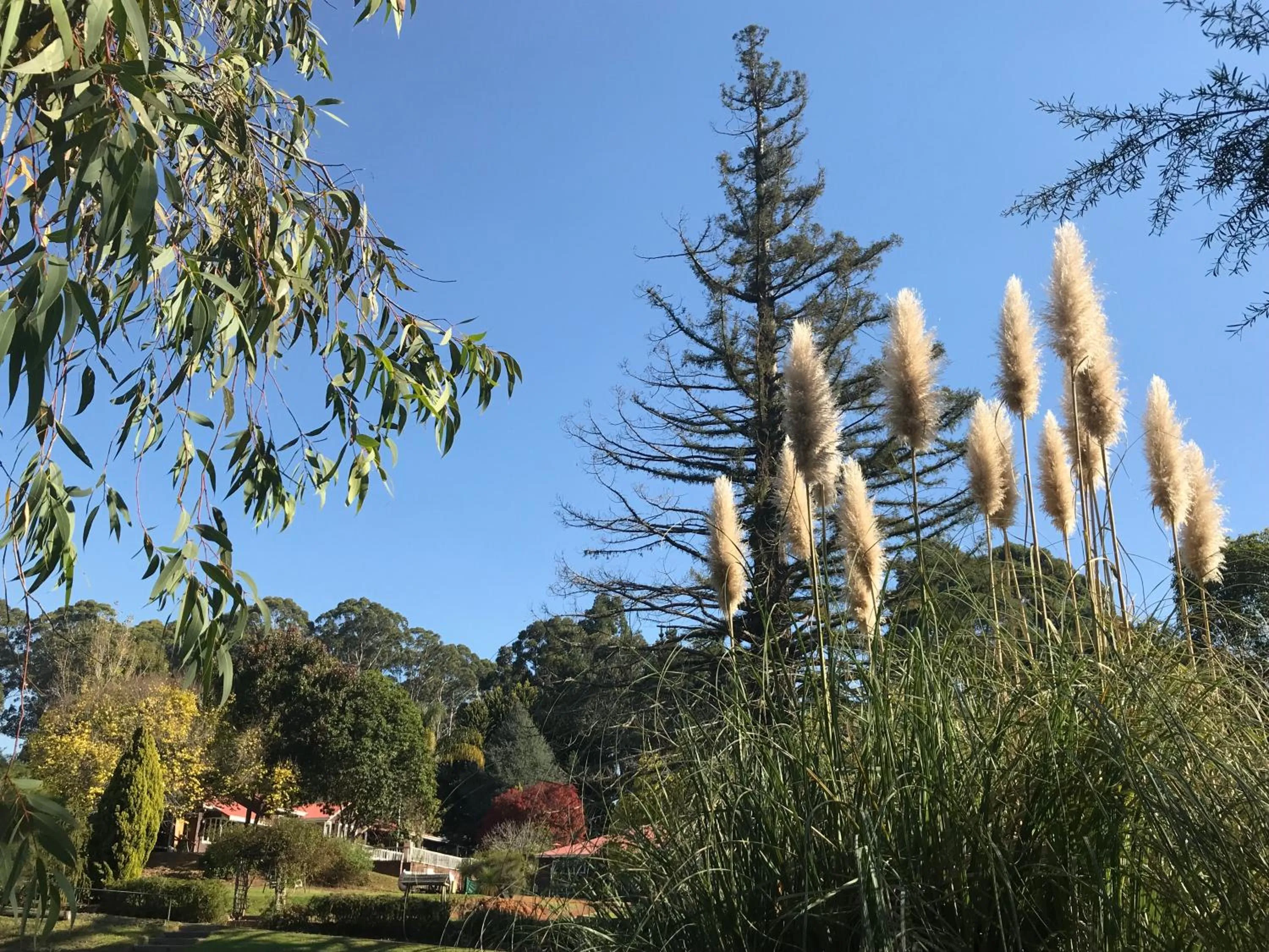 Spring in Forest Lodge Resort