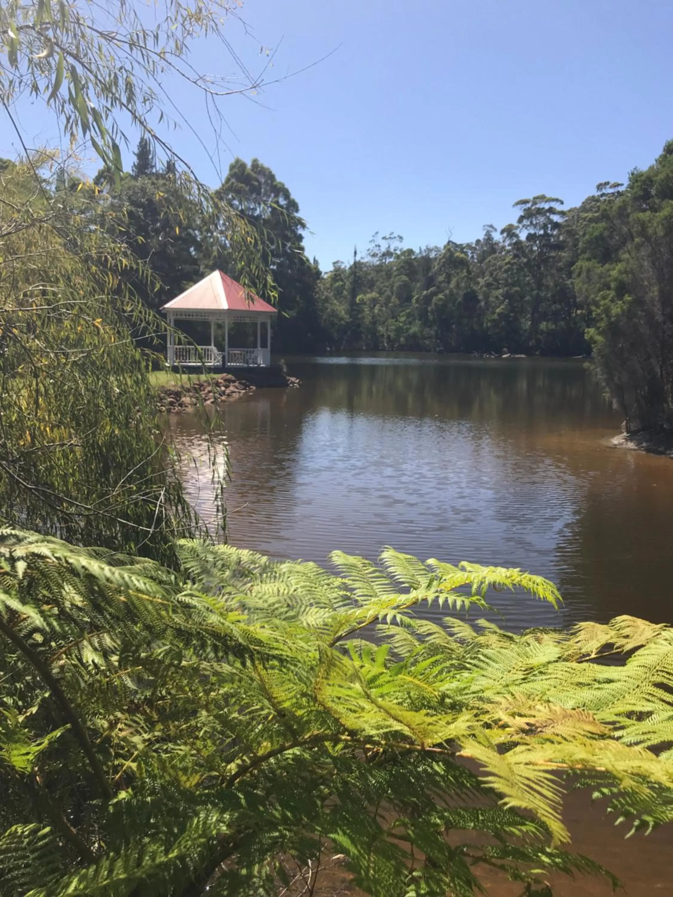 Day in Forest Lodge Resort