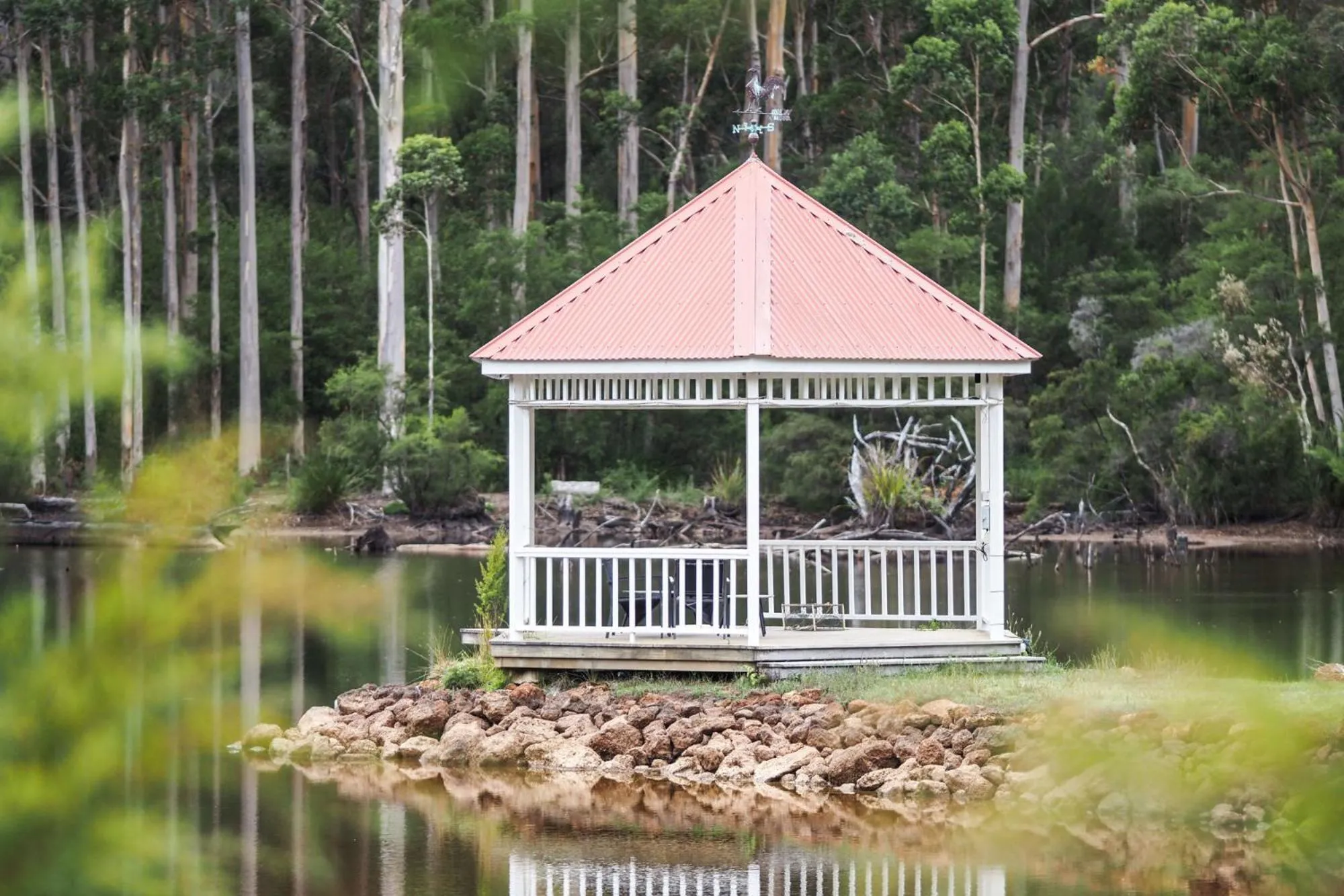 Natural landscape in Forest Lodge Resort