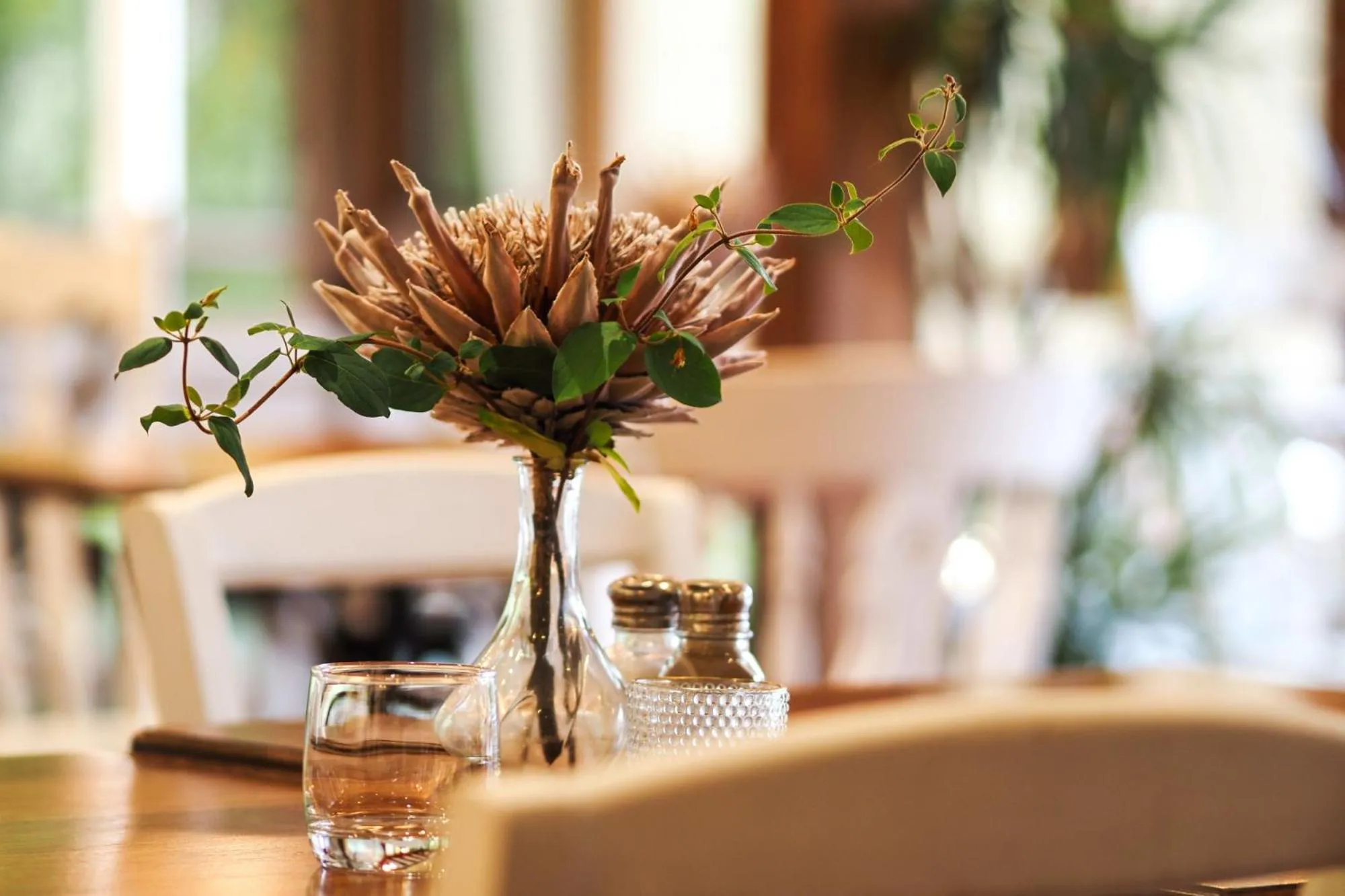 Drinks in Forest Lodge Resort